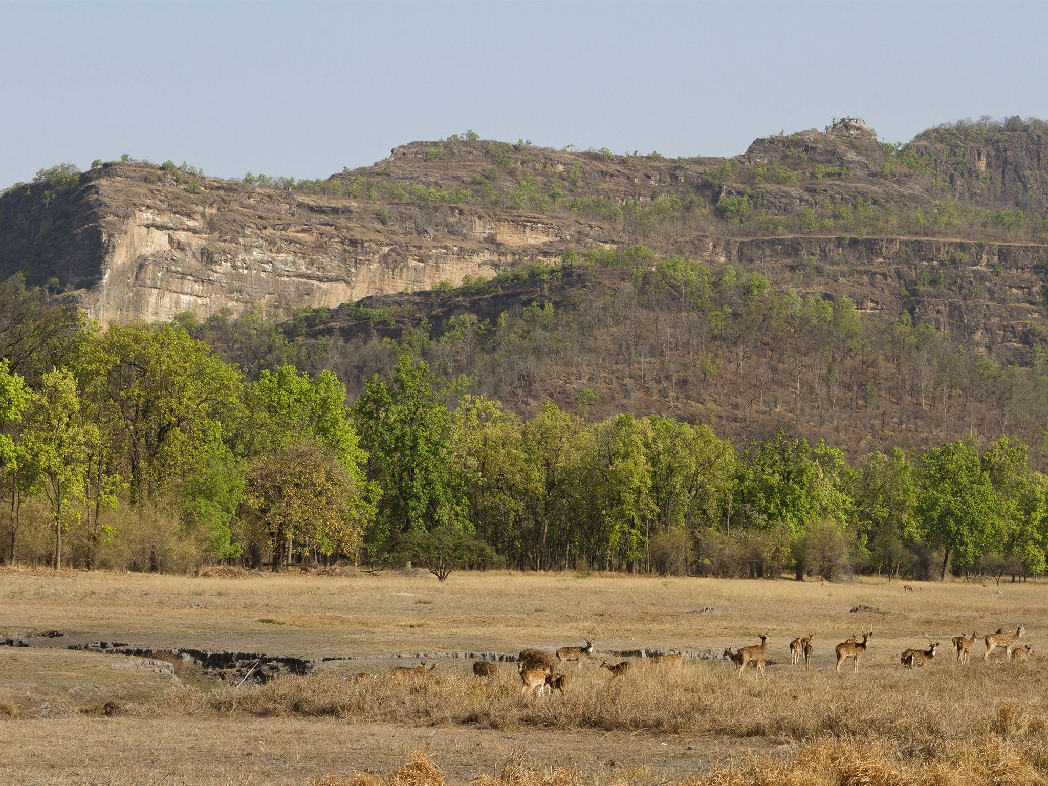 Gyan Singh Neengwal lives in a rural part of the central Indian state of Madhya Pradesh