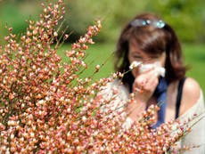 How to deal with hay fever season