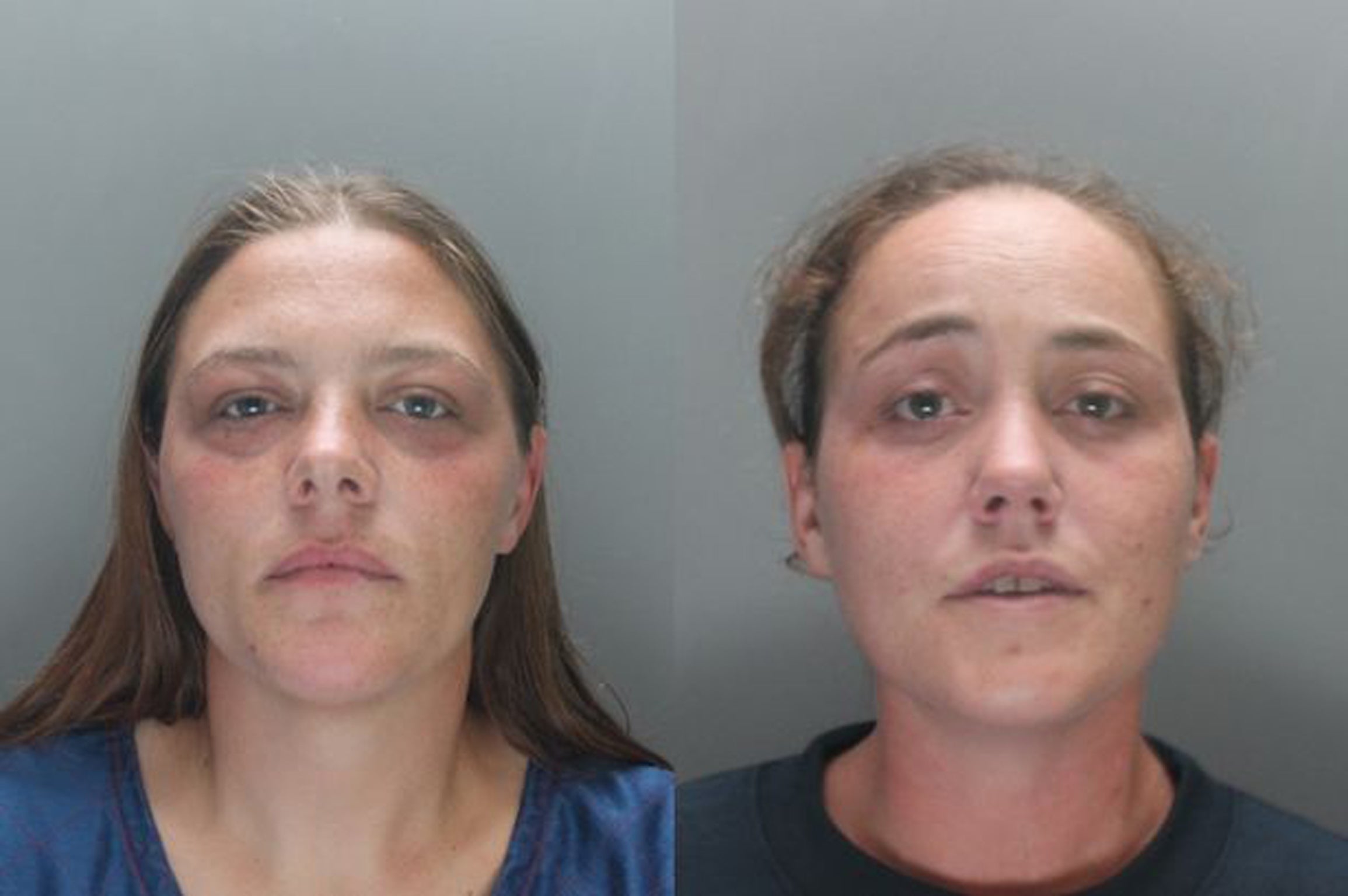 Ms Sulley and Ms Woods sentenced for dog eating neighbour alive