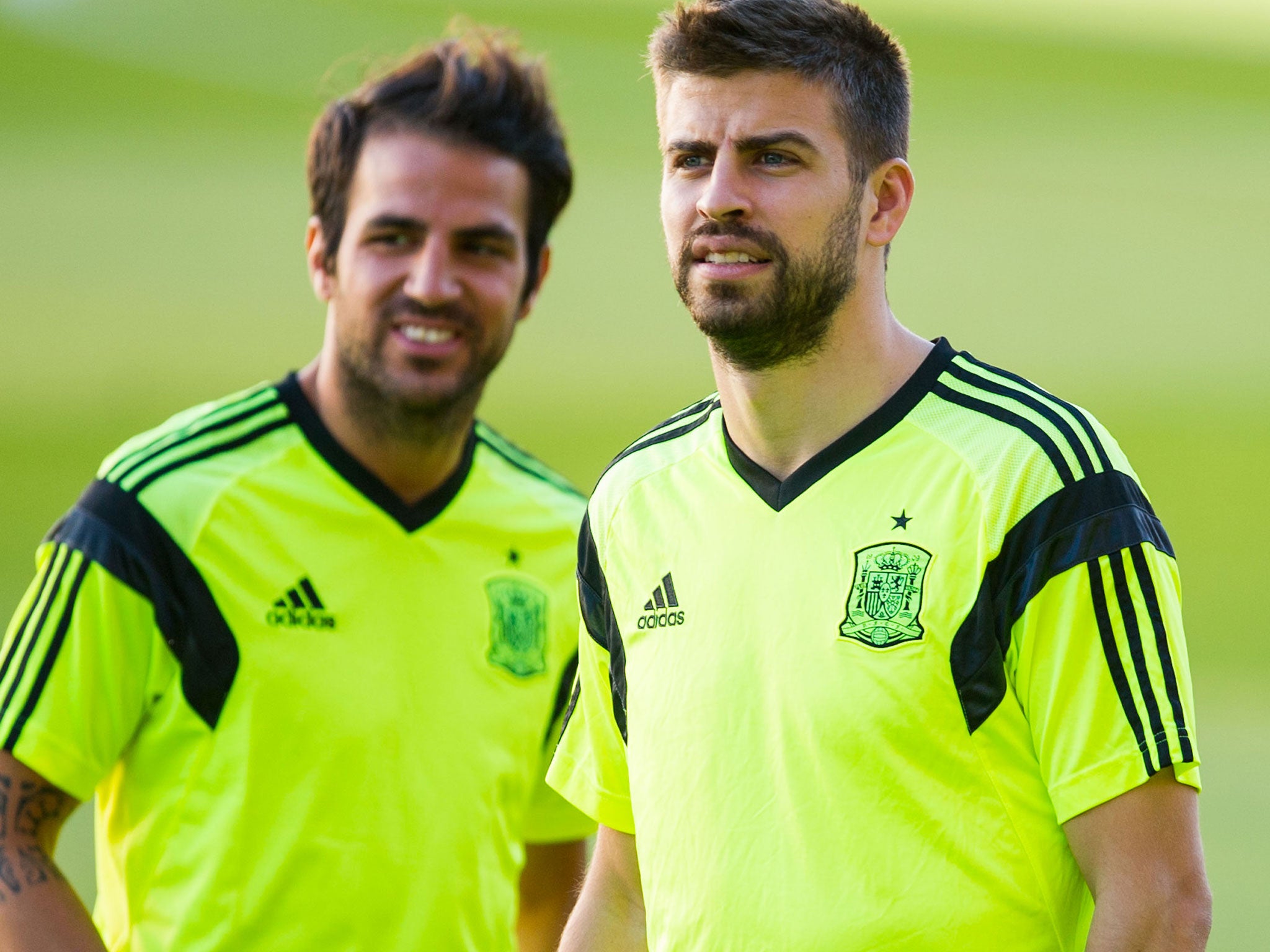 Cesc Fabregas (left) and Gerard Pique during training as Spain prepare for the World Cup
