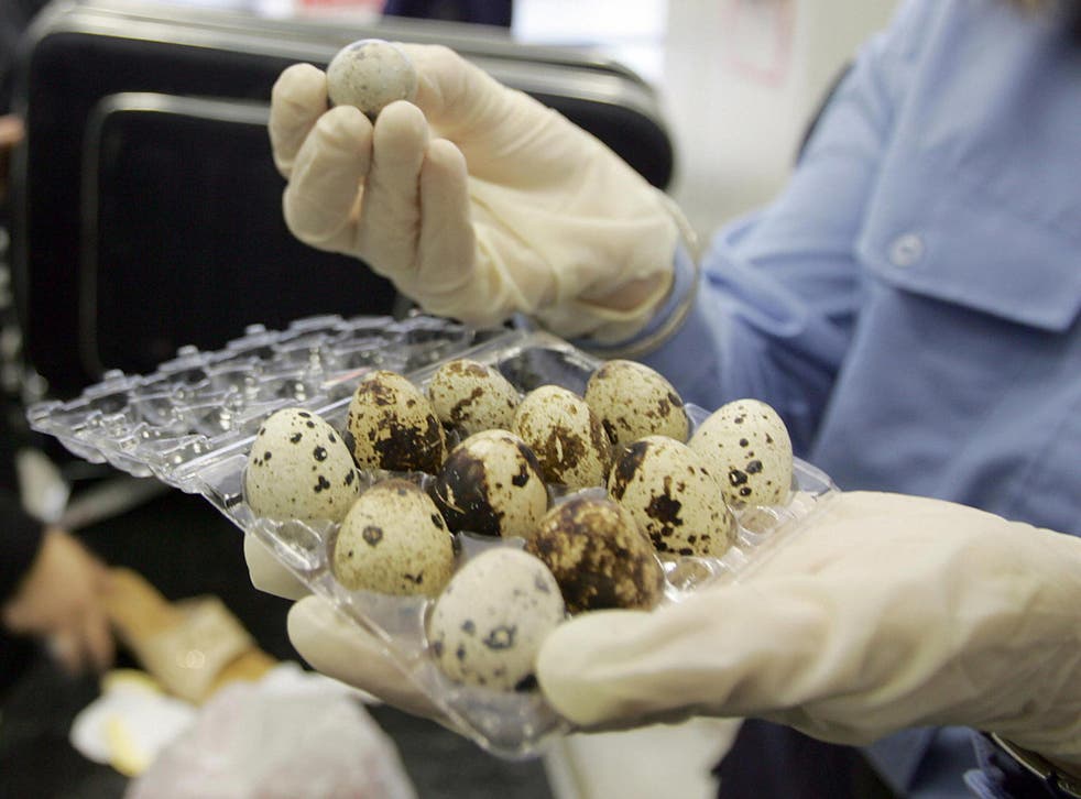 Supermarket quail egg hatches | The Independent | The ...