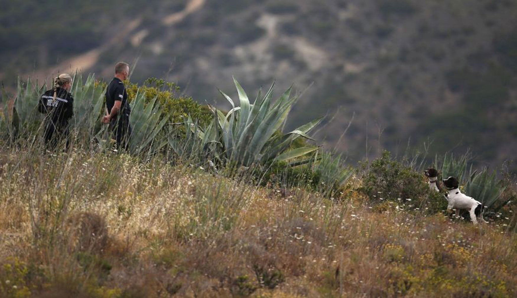 Scotland Yard detectives work with sniffer dogs on an area during the search for missing British girl Madeleine McCann in Praia da Luz, near Lagos, on 6 June, 2014