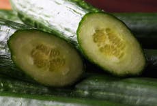 British cucumbers 'will go extinct' amid supermarket price wars