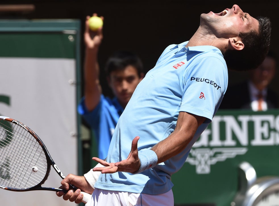 French Open 2014: Novak Djokovic awaits Andy Murray or ...