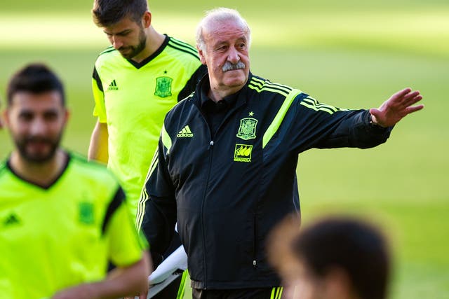 Spain manager Vicente Del Bosque