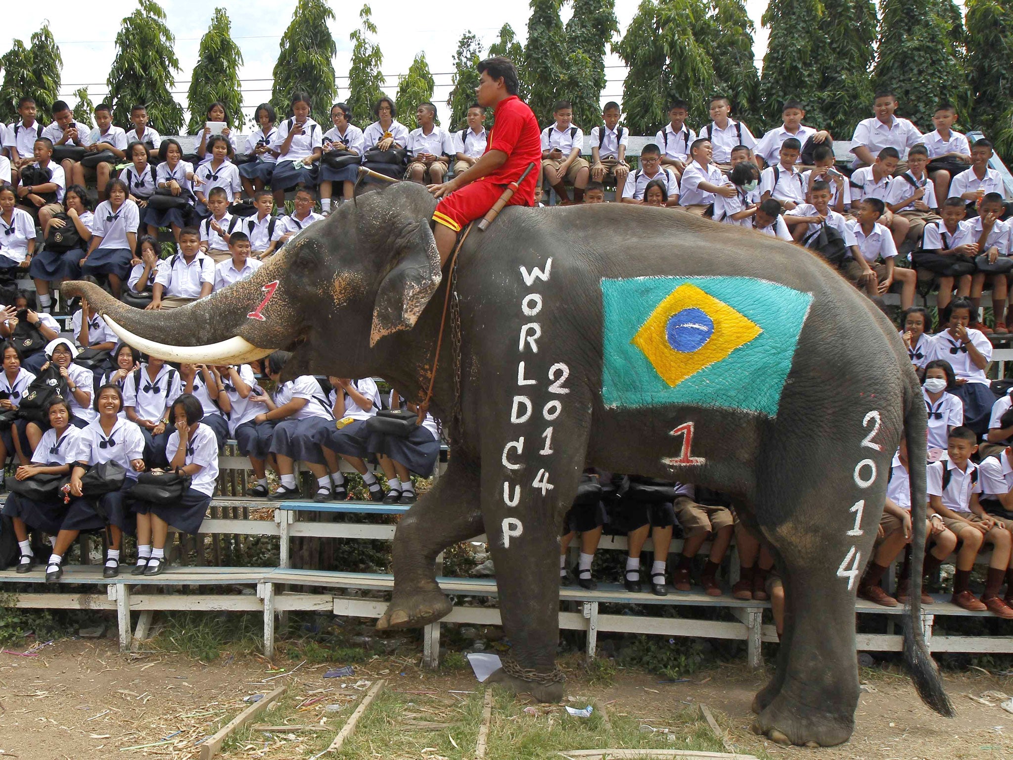 An elephant walks near Thai students at a school in Thailand's Ayutthaya province. A soccer match between the elephants and some students was held as part of a campaign to promote the 2014 World Cup and also to discourage gambling during the competition