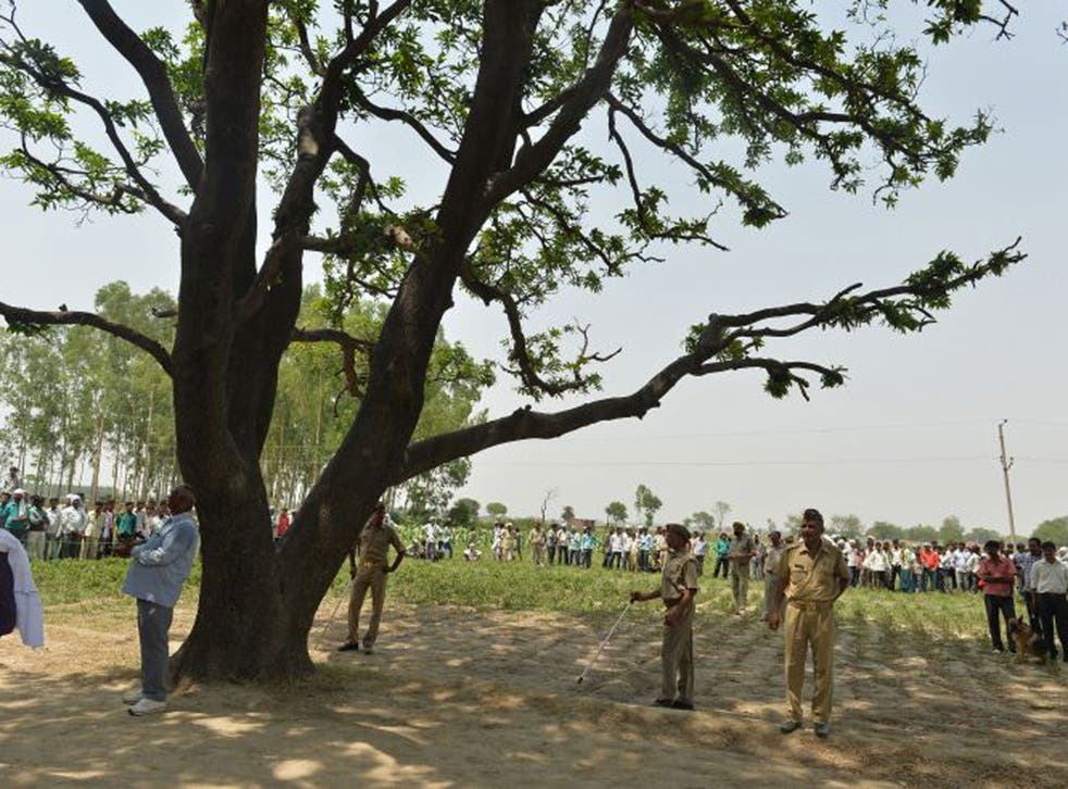 The mango tree where the bodies of the two victims were found hanging. The girls were believed to be aged between 12 and 14