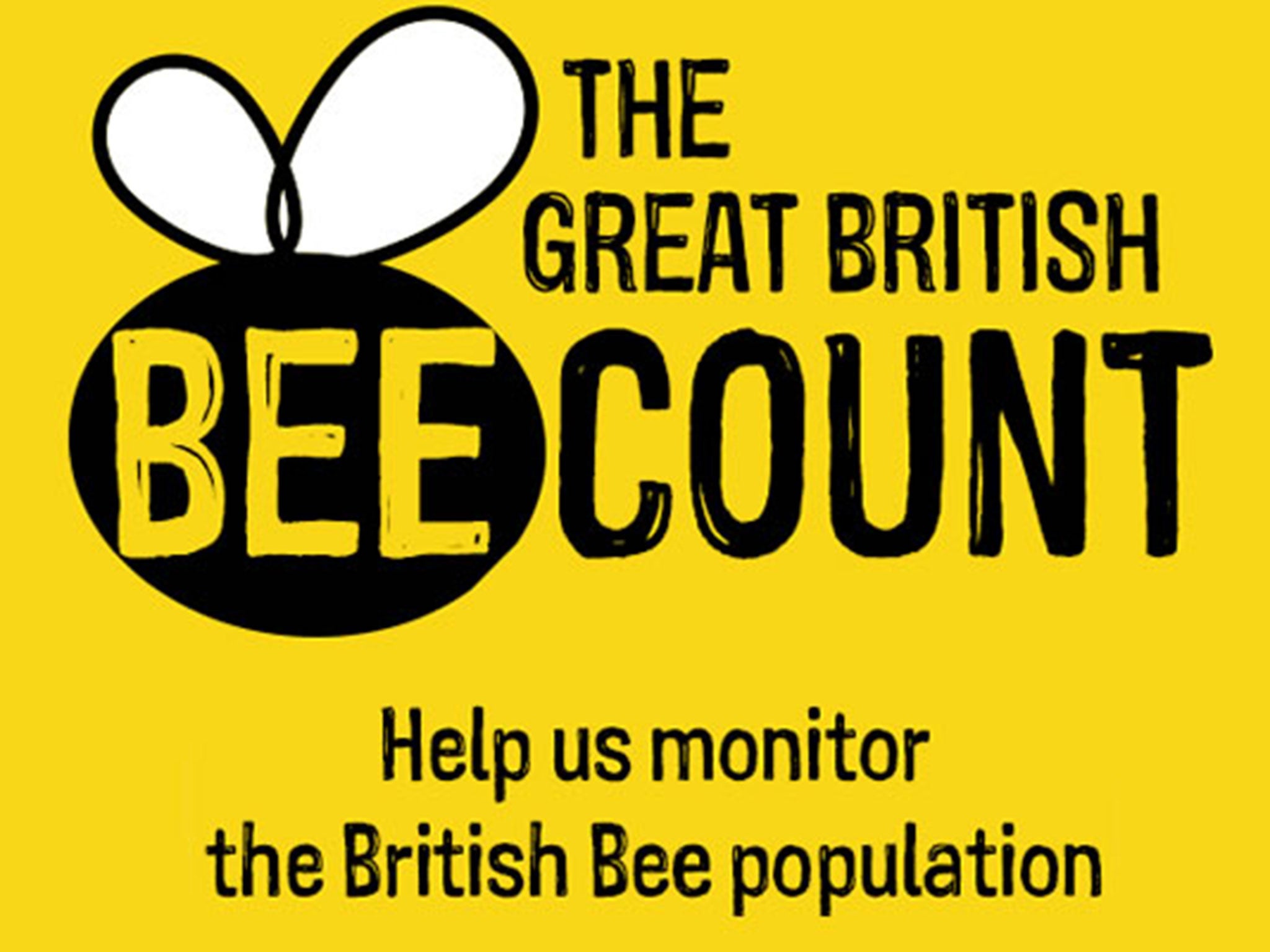 The app helps users to identify the bees they see and log sightings while they are out and about