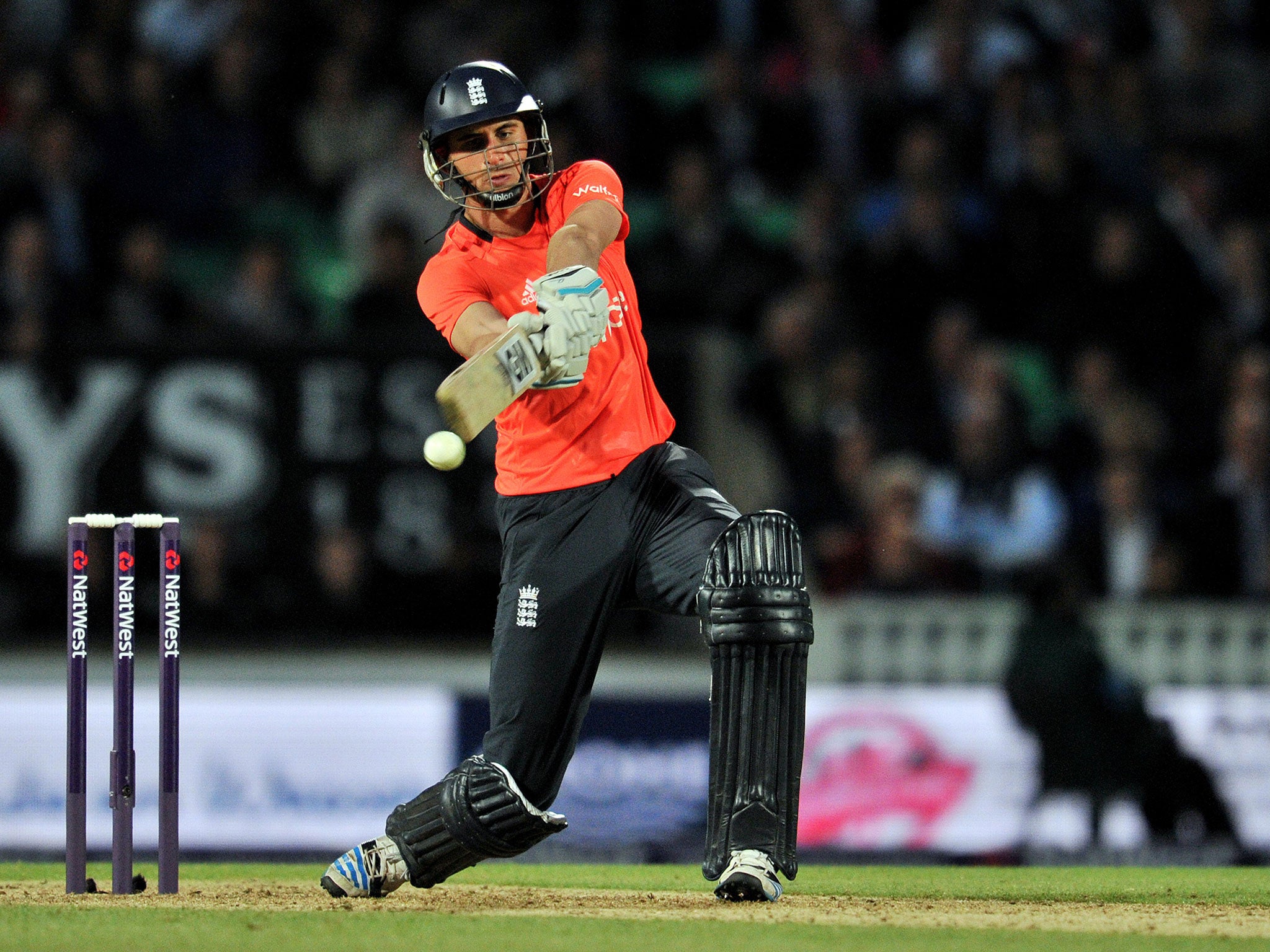 Alex Hales has agreed to join Hobart Hurricanes for the 2014-15 Big Bash League