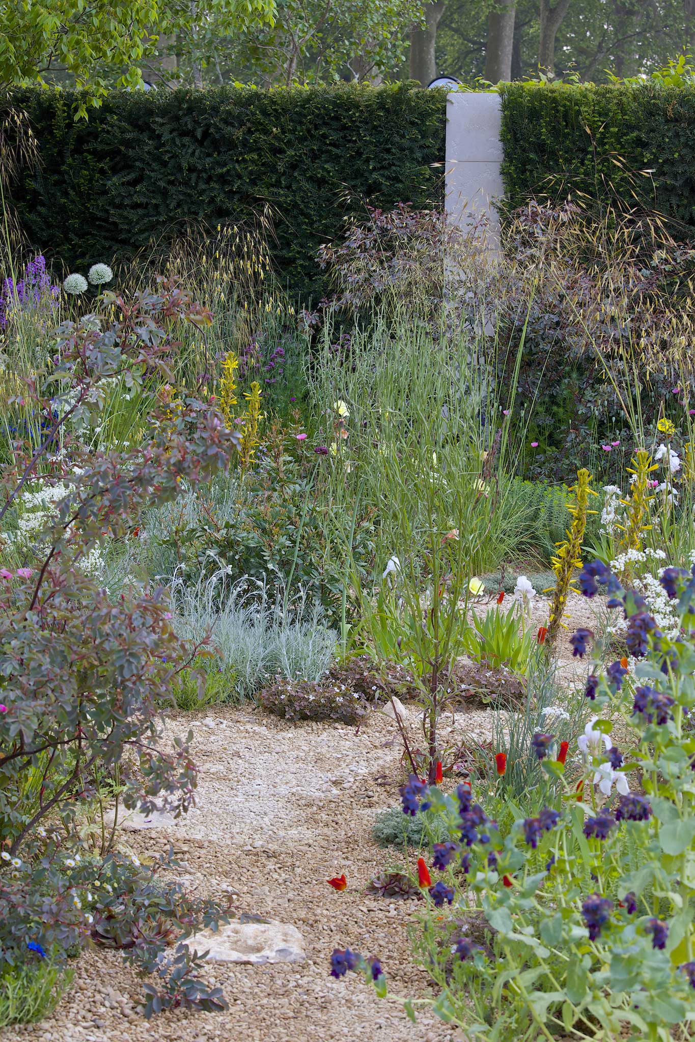 Cleve West used poppies and cornflowers in the gravelled foreground of his Chelsea show garden