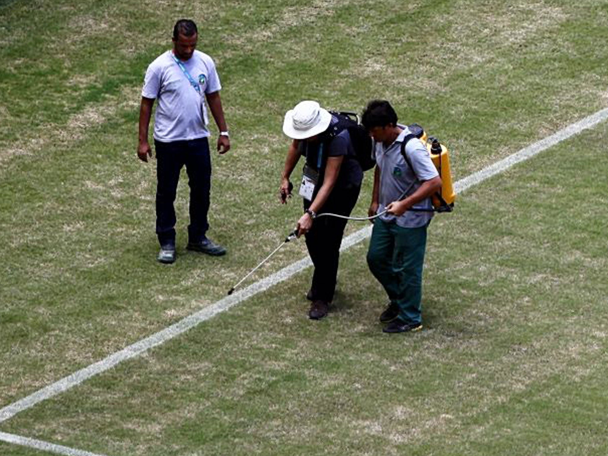 The state of the Arena Amazonia pitch is still a cause for concern