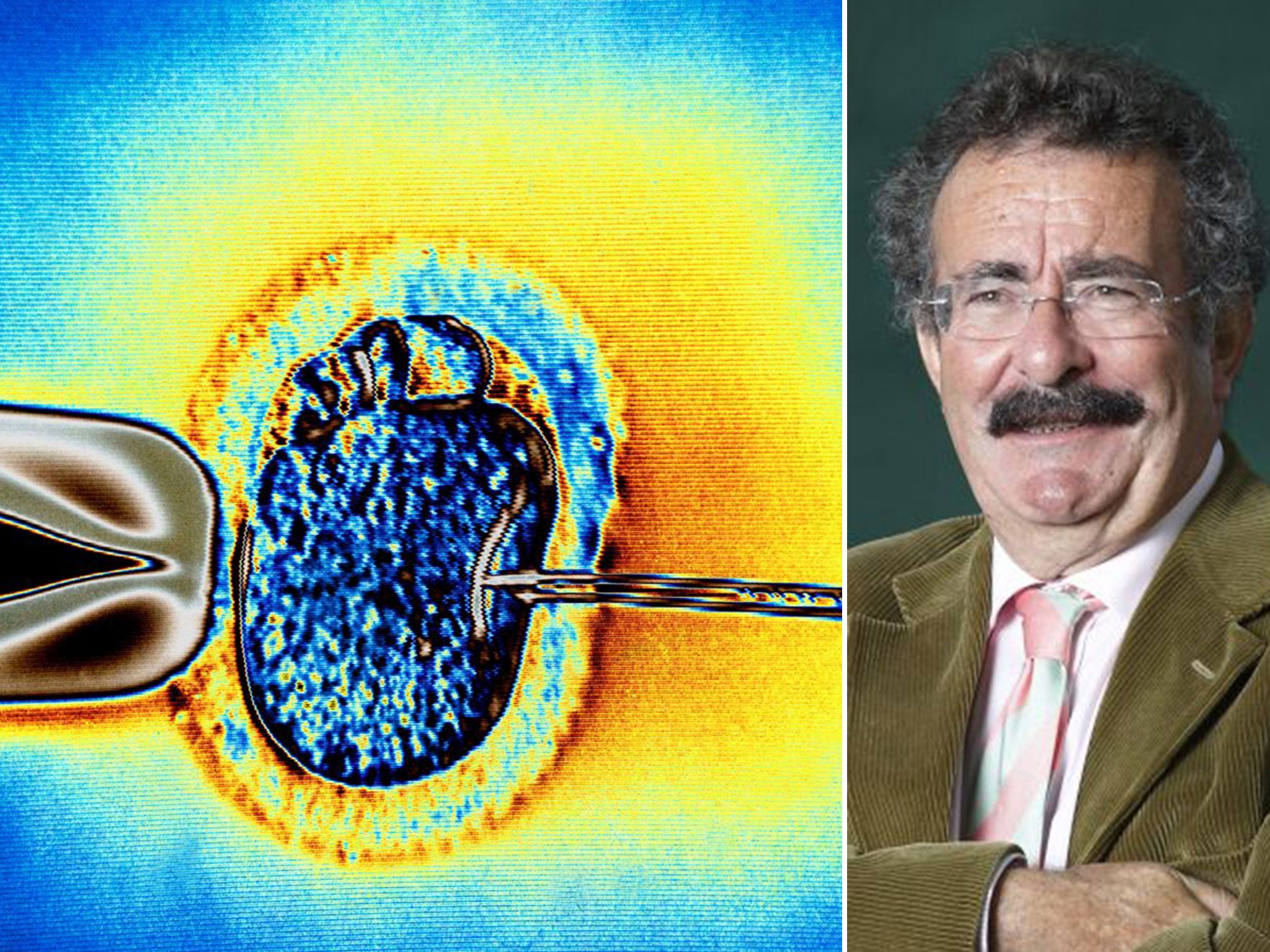 Lord Winston claims private clinics are selling ineffective IVF treatment to desperate patients