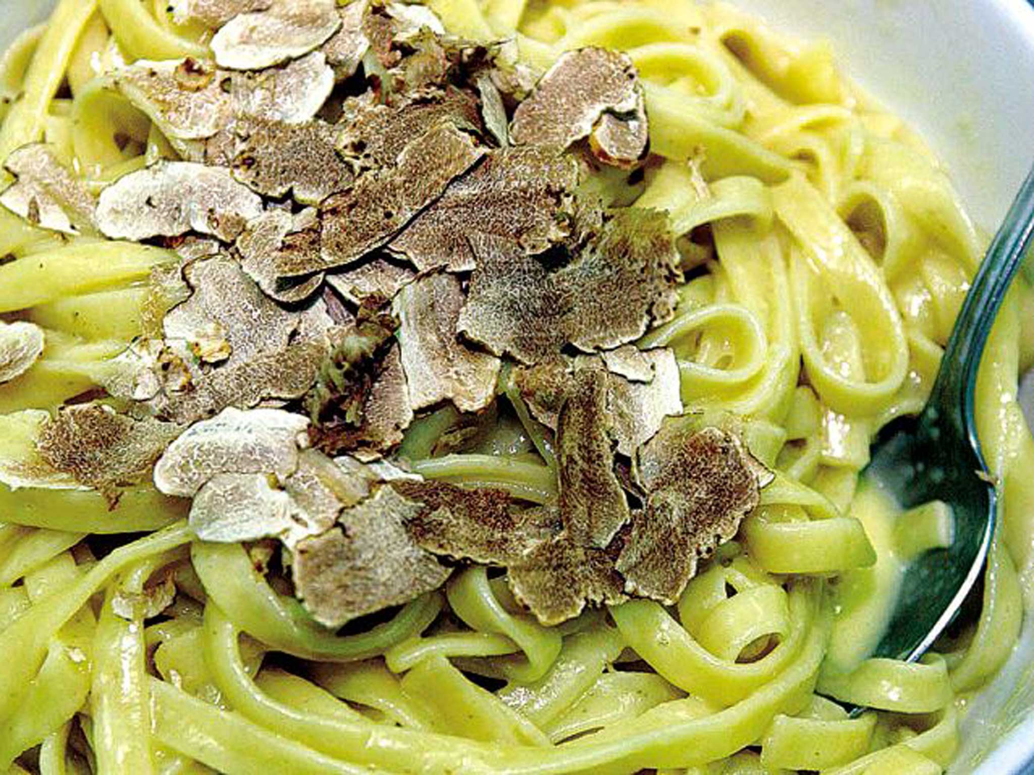 Istrian truffles with pasta