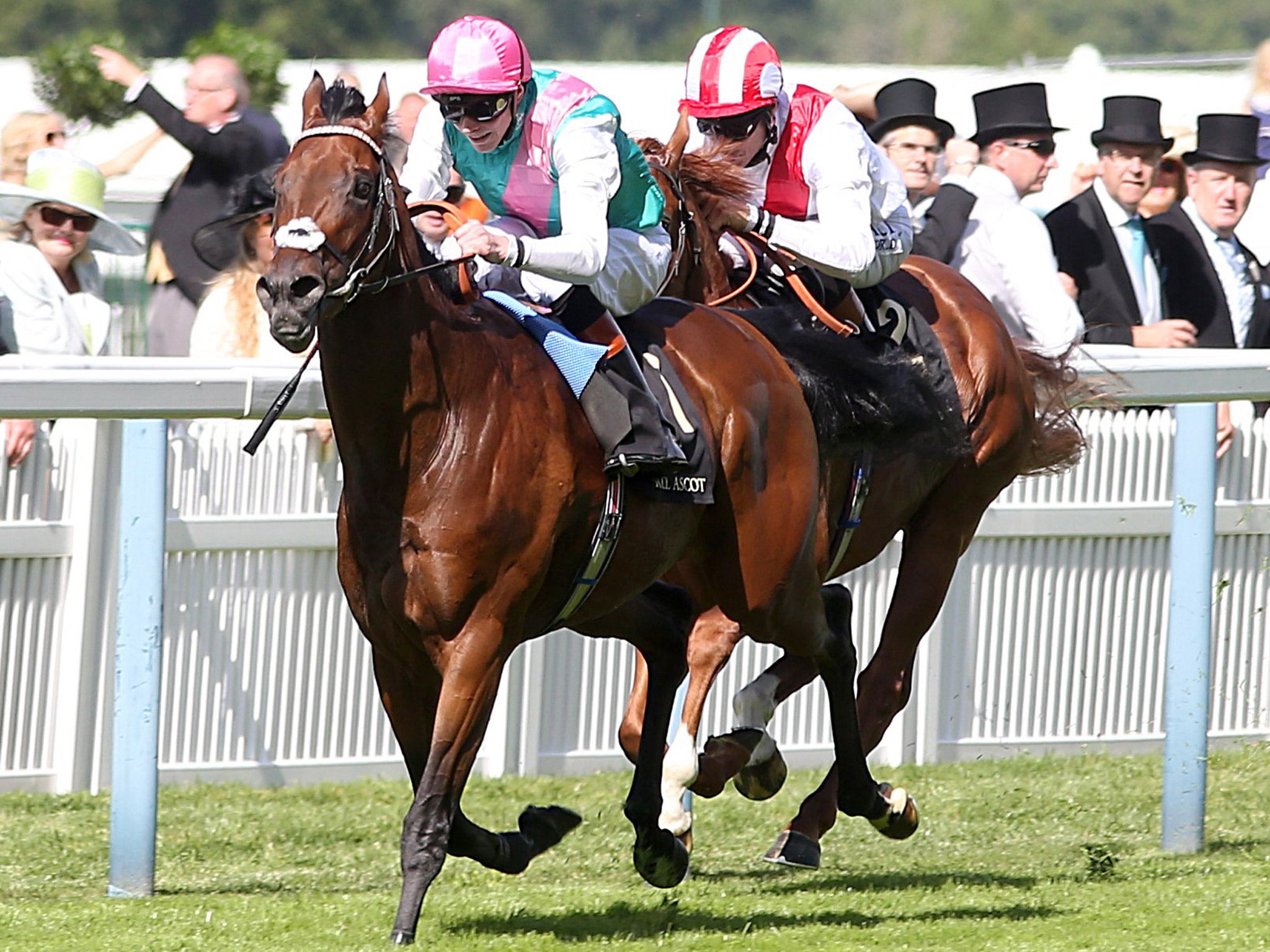 Kingman and jockey James Doyle storm to victory in the St James’s Palace Stakes at Royal Ascot