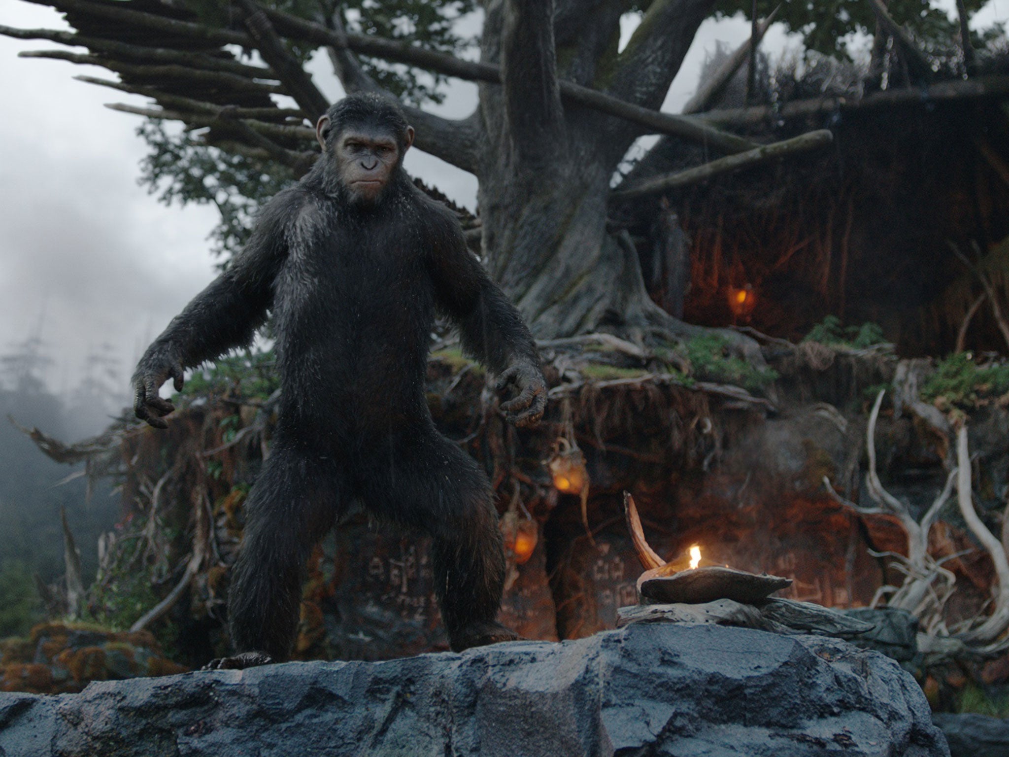 Dawn of the Planet of the Apes hits UK cinemas on 17 July