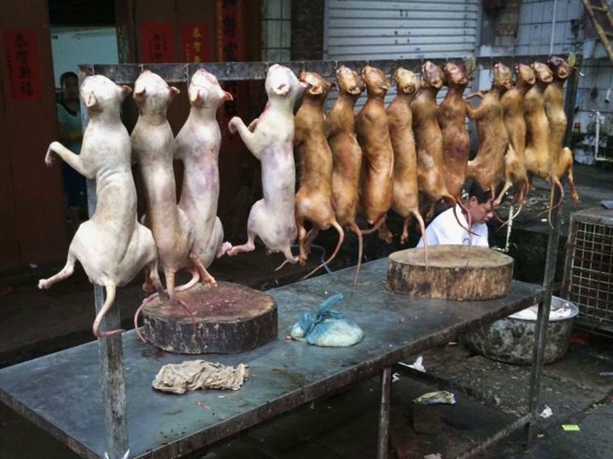 Dead dogs are on sale at a stall in Yulin (Reuters)