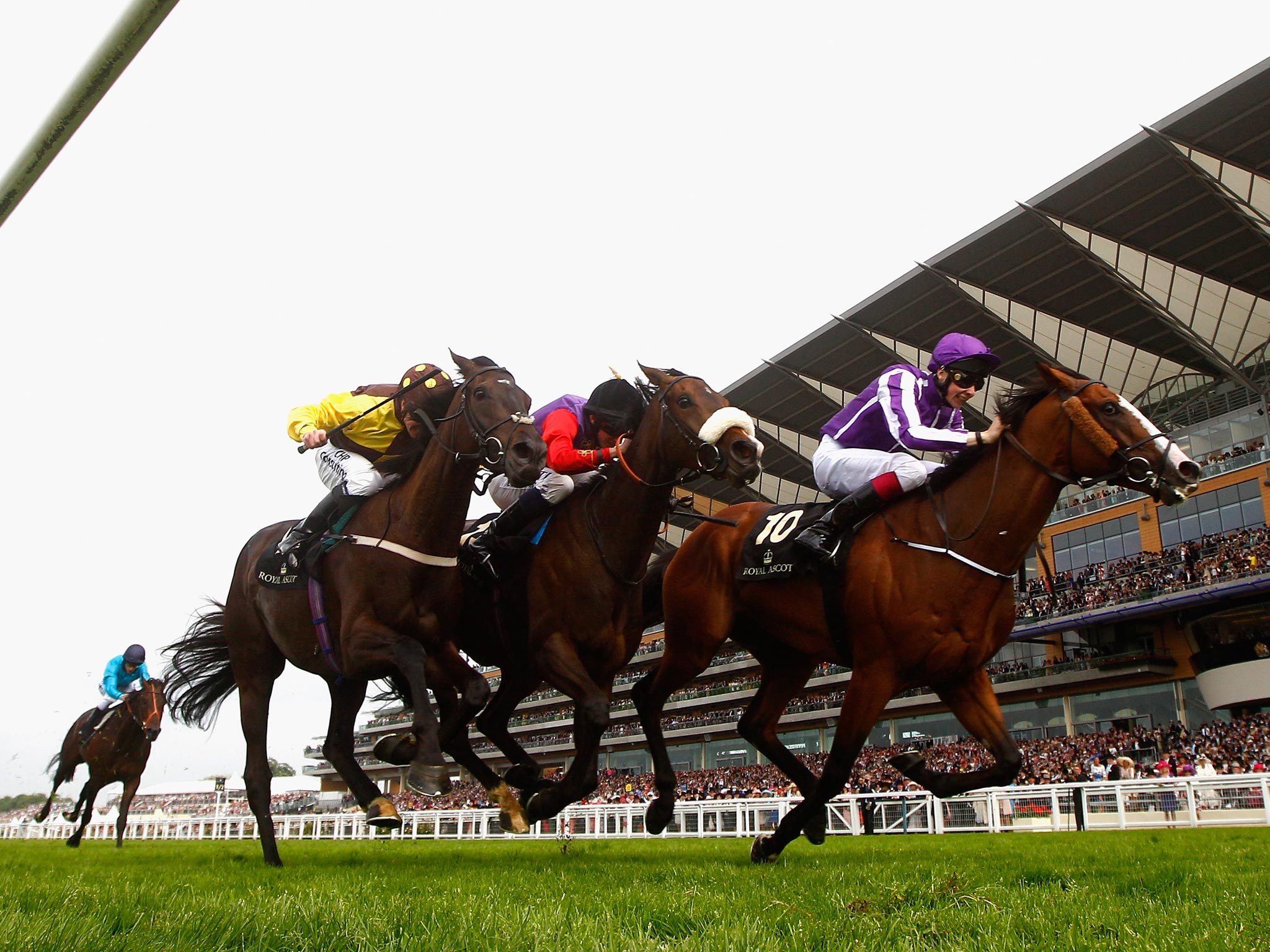 Leading Light (right) repels Estimate (centre) and Missunited in the Ascot Gold Cup