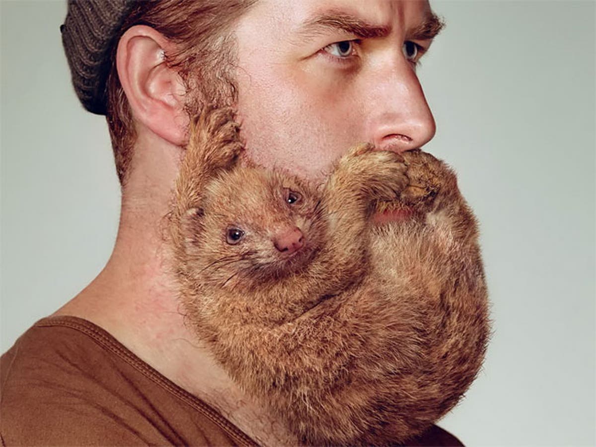 Razor brand seeks to dispel 'sexy beard' myth with men with rodents on  their faces ads | The Independent | The Independent