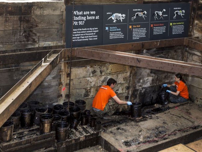 Excavators work at the bottom of the reactivated Pit 91 at the Page Museum La Brea Tar Pits in Los Angeles Thursday, June 19,
