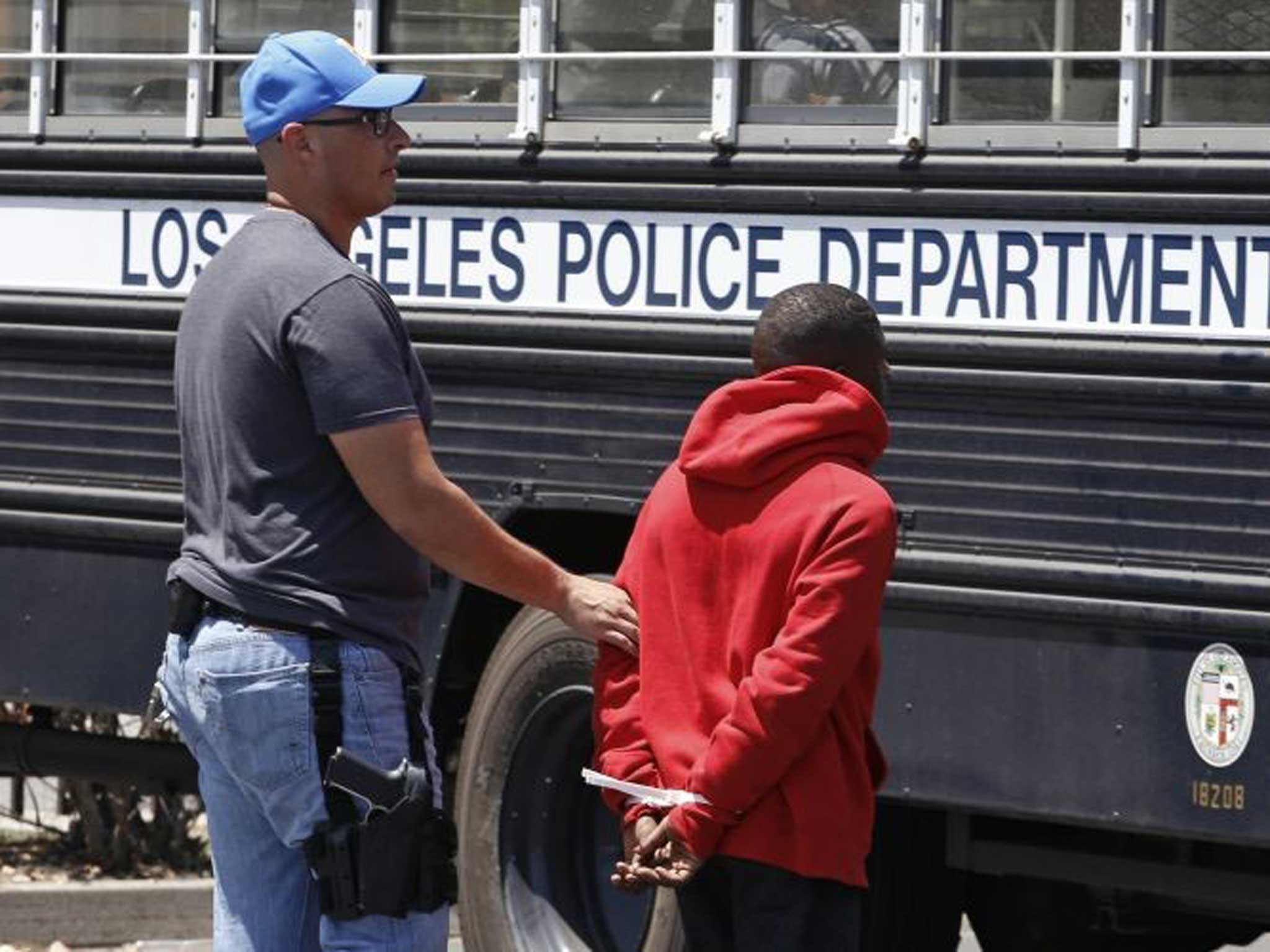 Gang bust: A red-hooded Crip is led away during last week’s raids