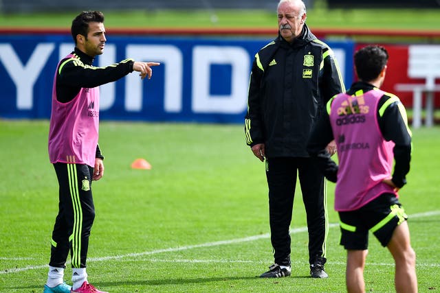Cesc Fabregas (left) and Vicente del Bosque speak during Spain's training before he removed his bib