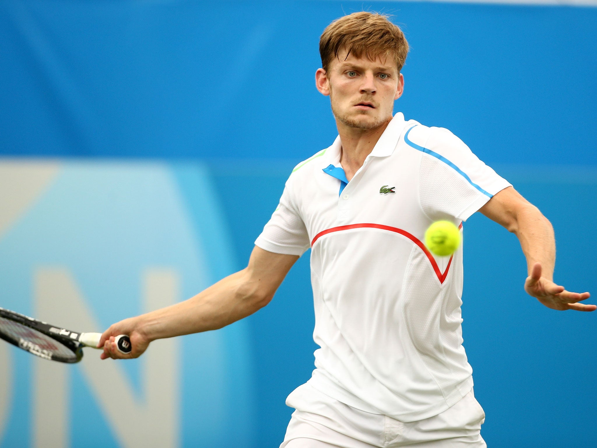 David Goffin in action at Queen's Club two weeks ago