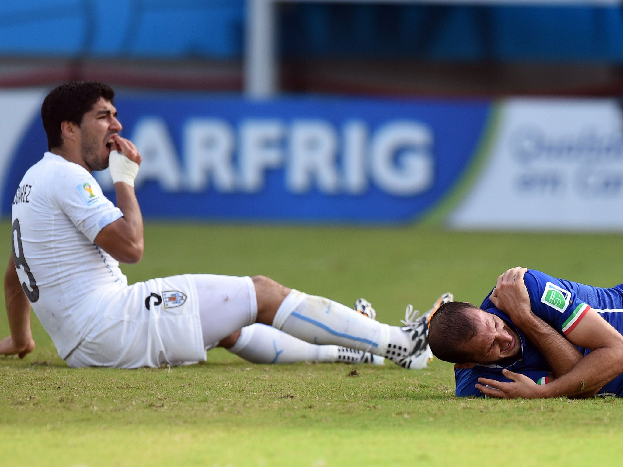 Luis Suarez holds his teeth while Giorgio Chiellini lies in pain