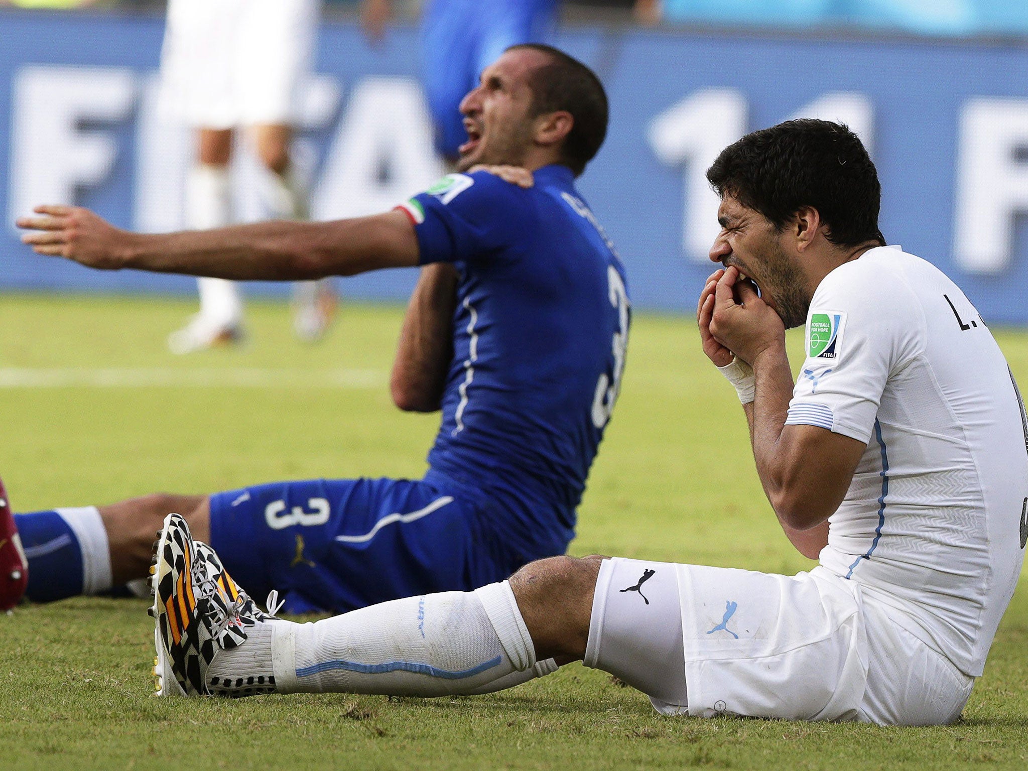 Italy's Giorgio Chiellini (L) claims he was bitten by Uruguay's Luis Suarez (R) during the FIFA World Cup 2014 group D preliminary round match between Italy and Uruguay at the Estadio Arena das Dunas in Natal, Brazil