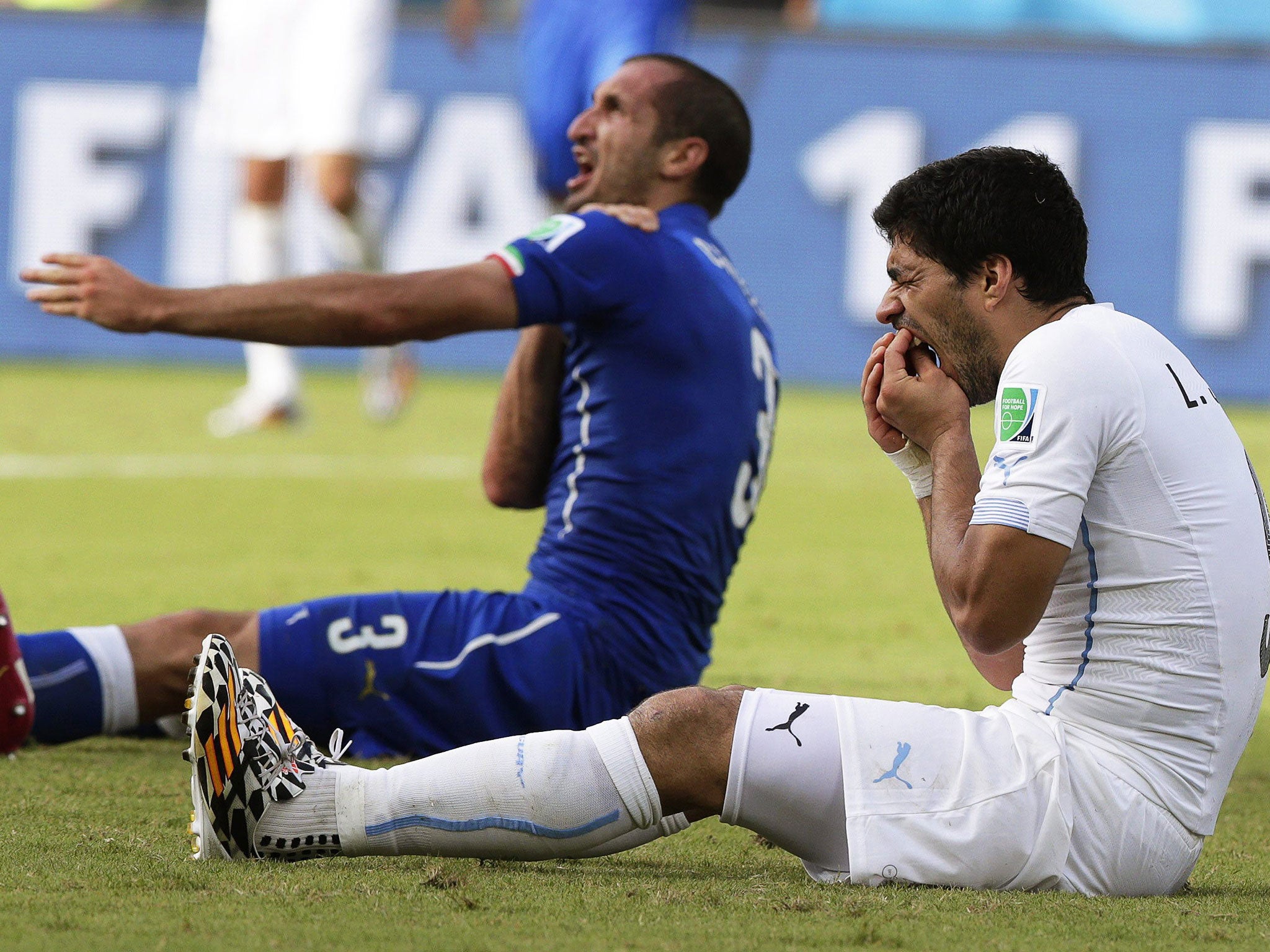 Italy's Giorgio Chiellini (L) was bitten by Uruguay's Luis Suarez (R) during the World Cup