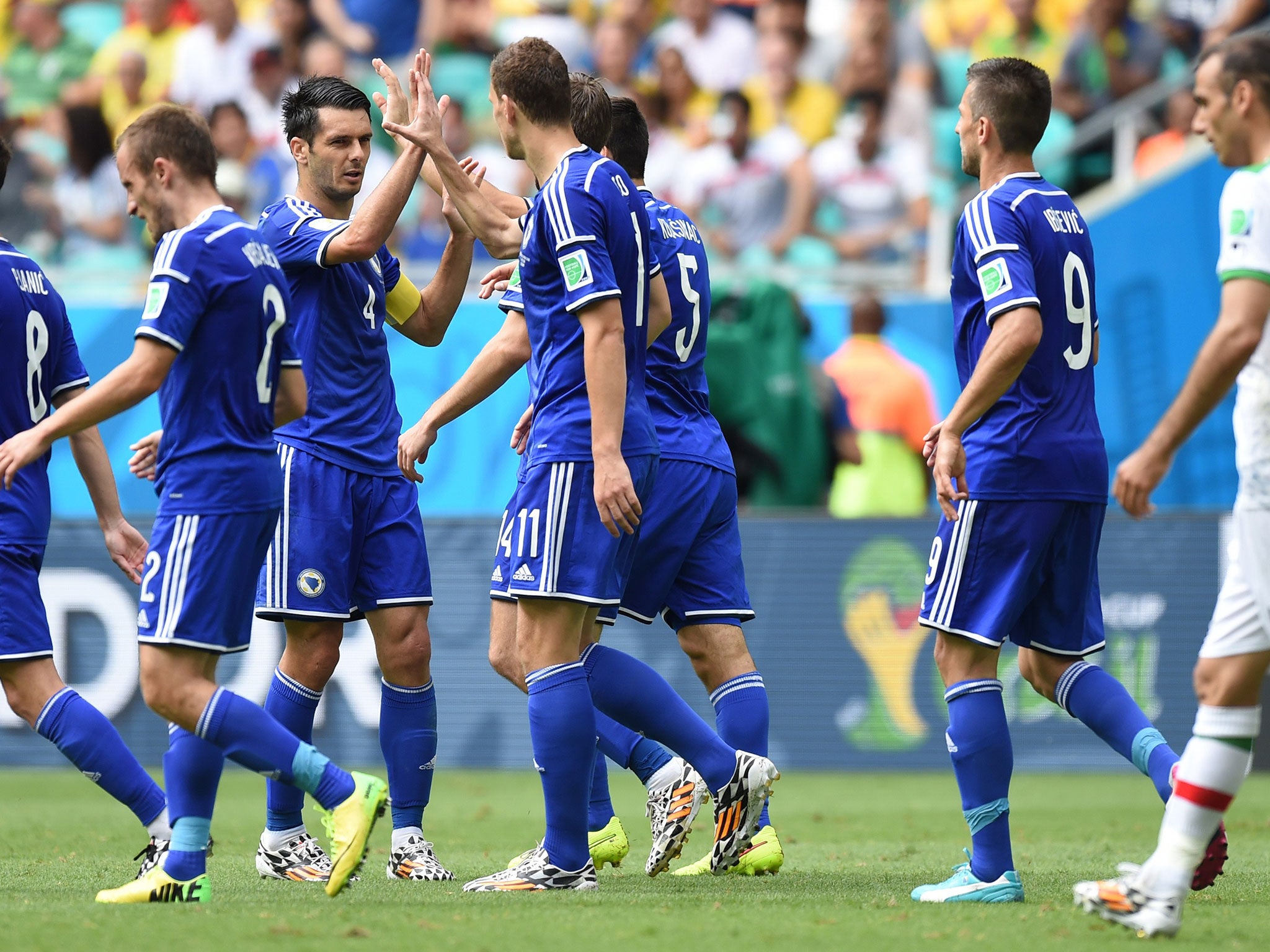 Bosnia and Herzegovina players celebrate after beating Iran in their final World Cup Group F match