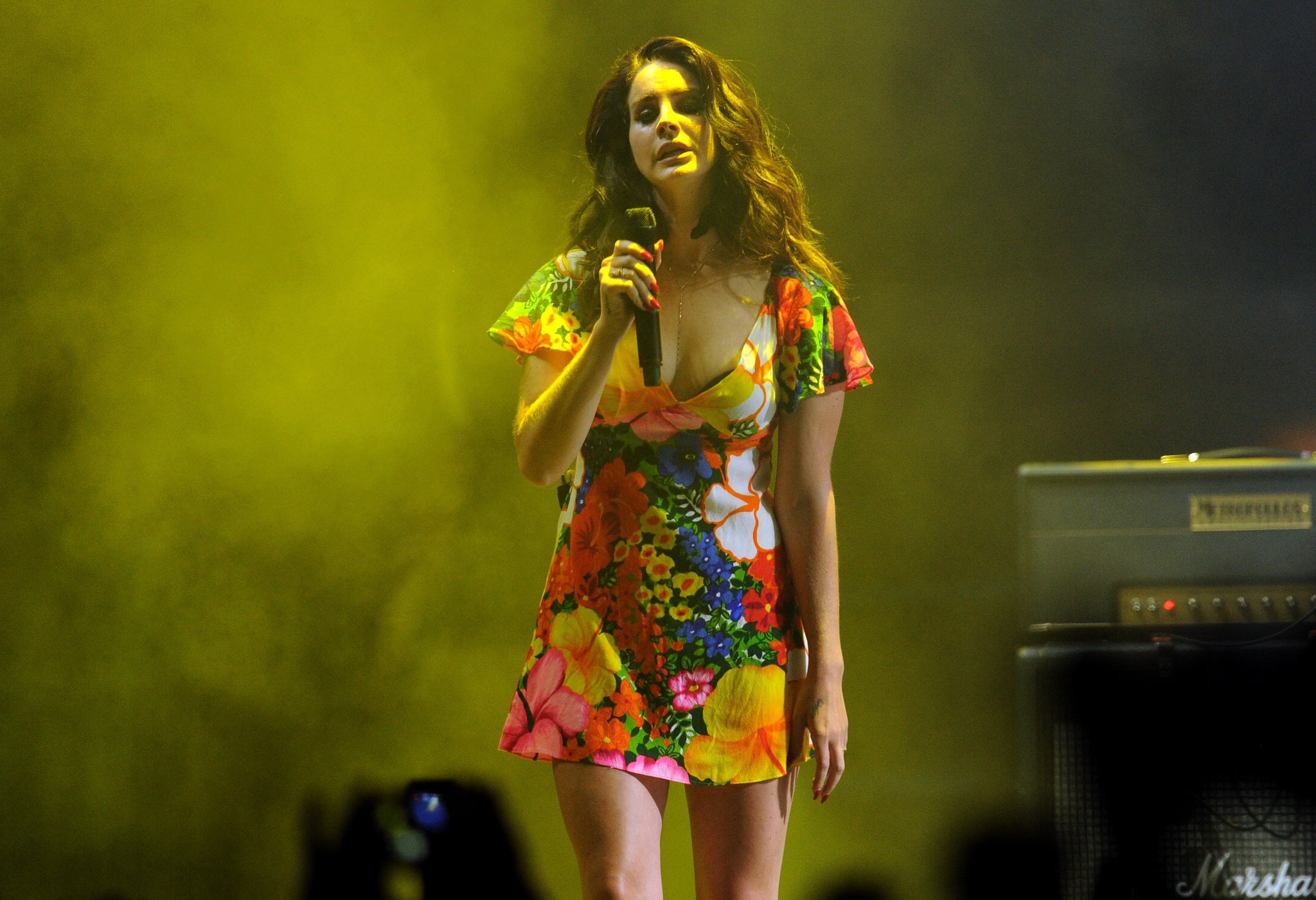 Del Rey argued that 'music is universal and should be used to bring us together'