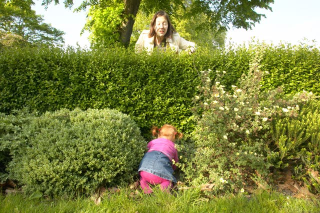 Toddlers will explore the undergrowth – so it might be best to dig up anything poisonous