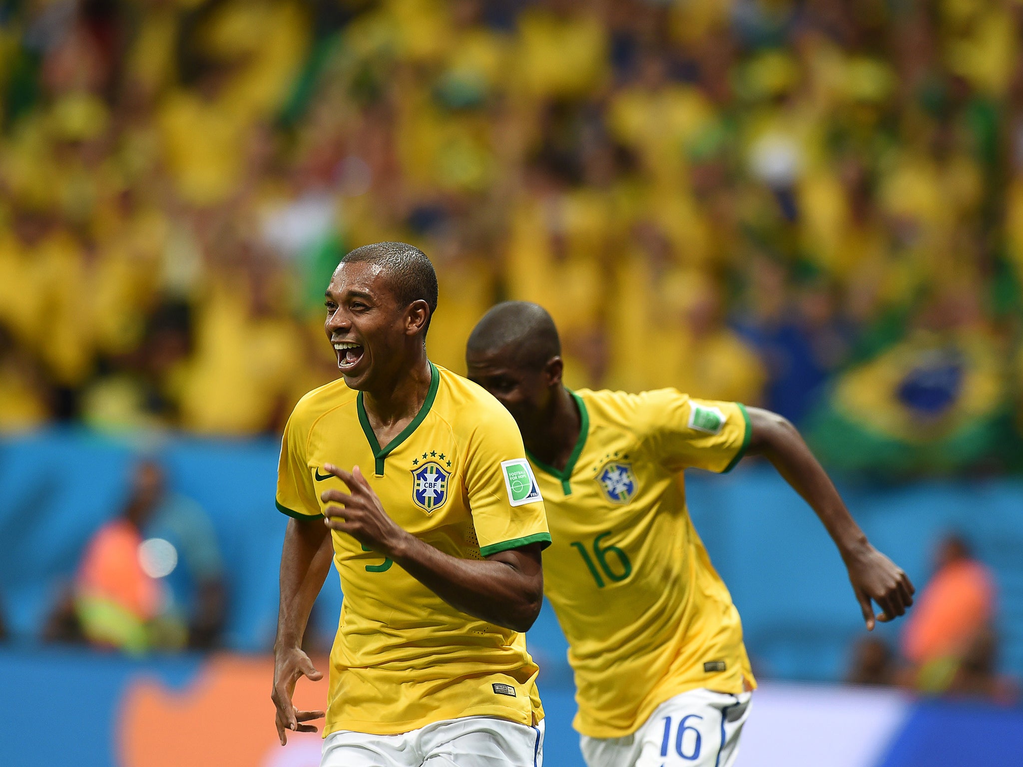 Fernandinho at the World Cup