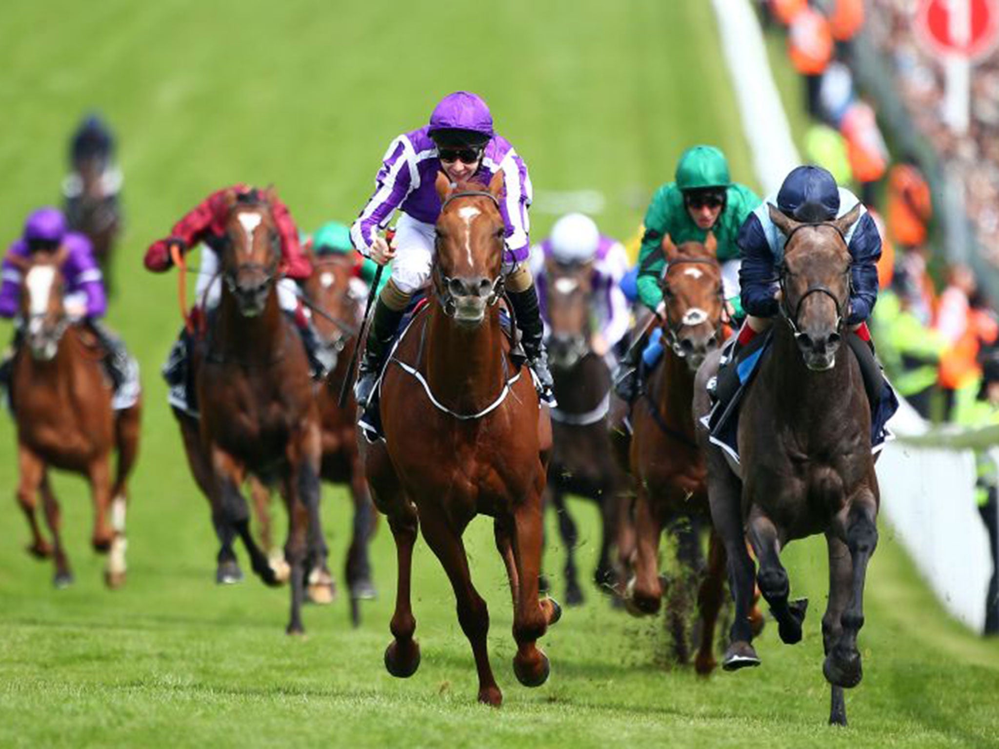 Australia can confirm Derby form with Kingston Hill, right, at the Curragh