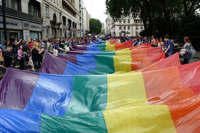 People hold the iconic rainbow flags at Pride 