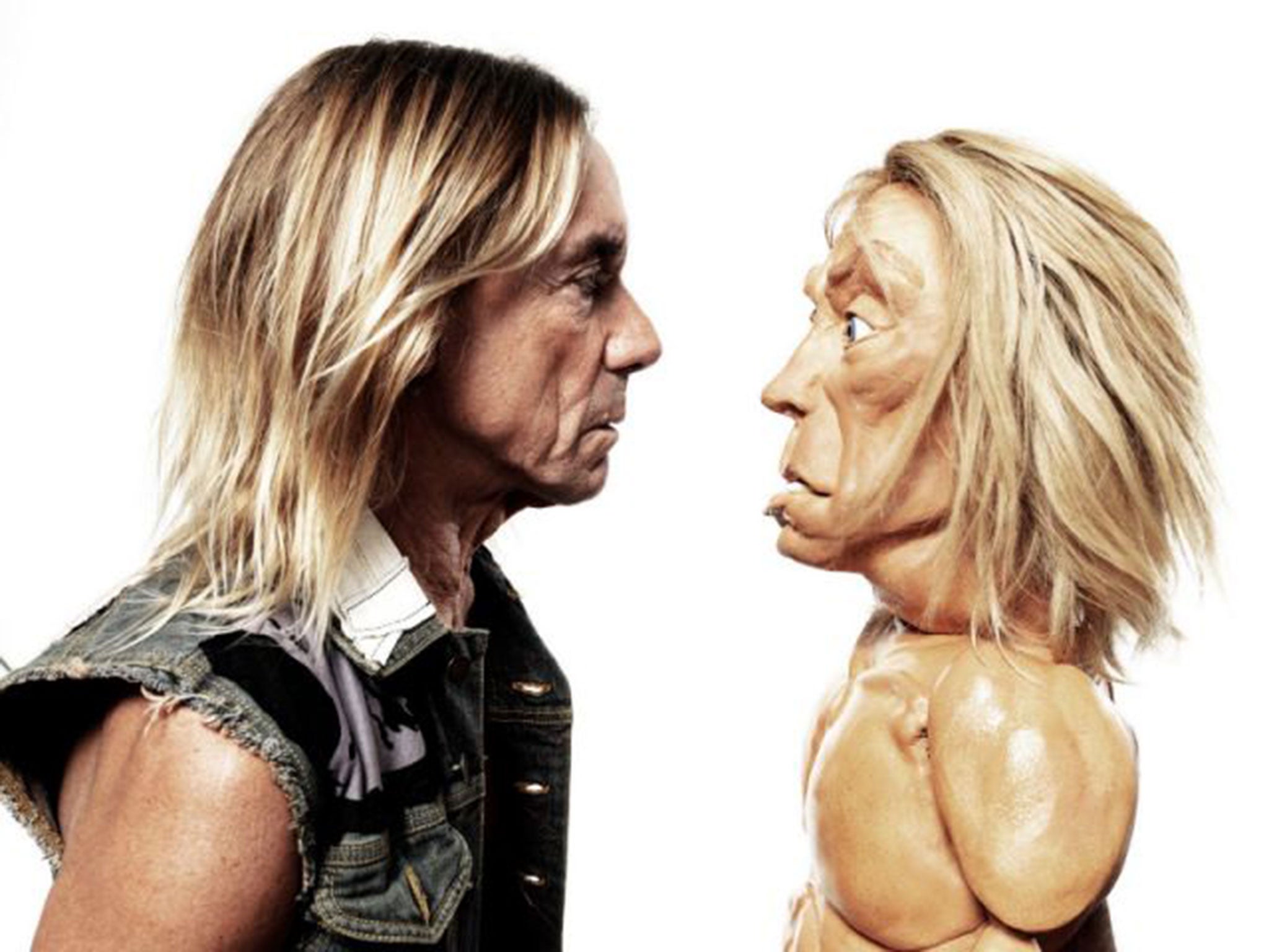 Iggy Pop fronted an ad campaign for  Swiftcover car insurance