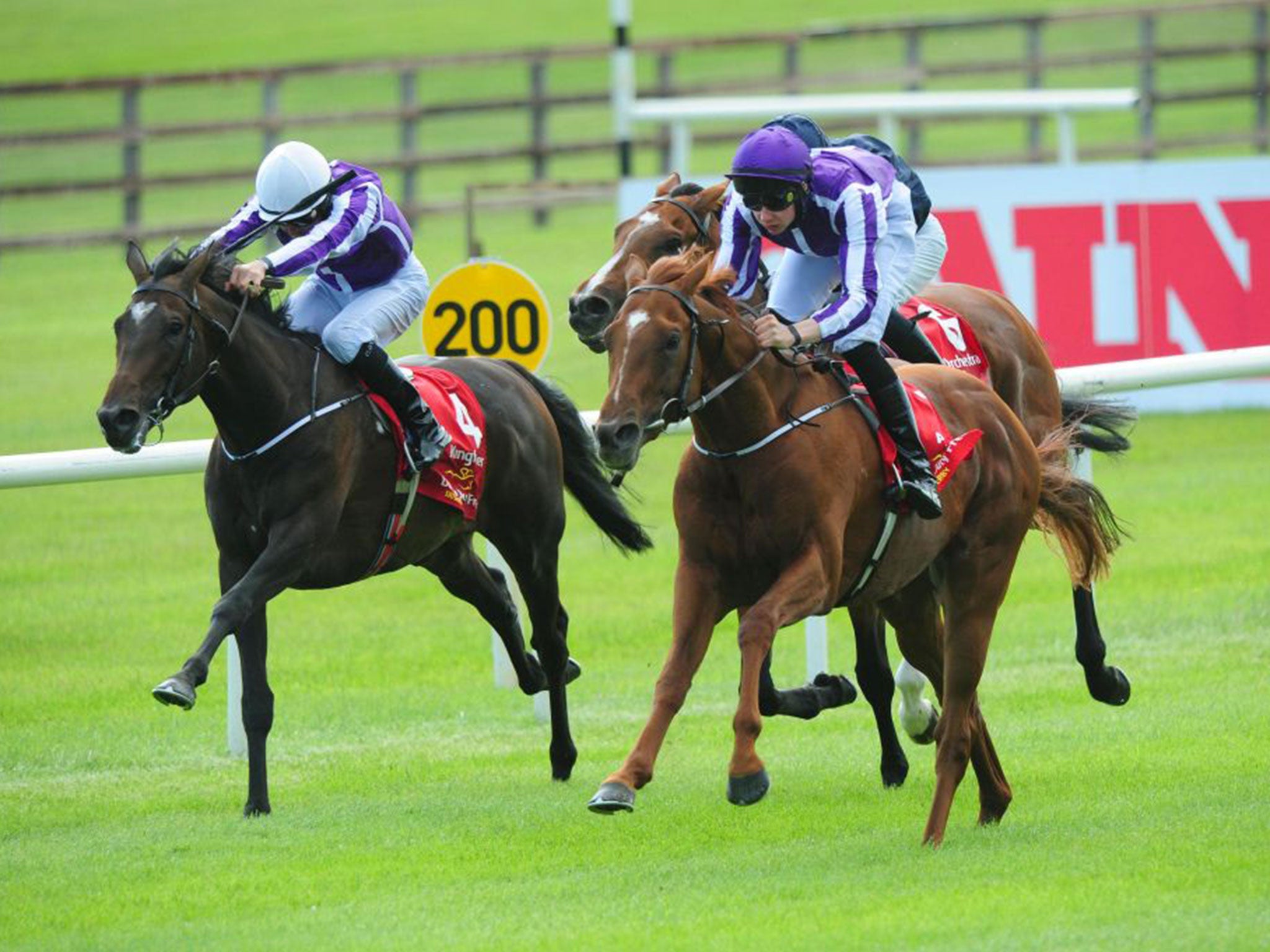 Chestnut pure: Australia, right, heads for the winning line