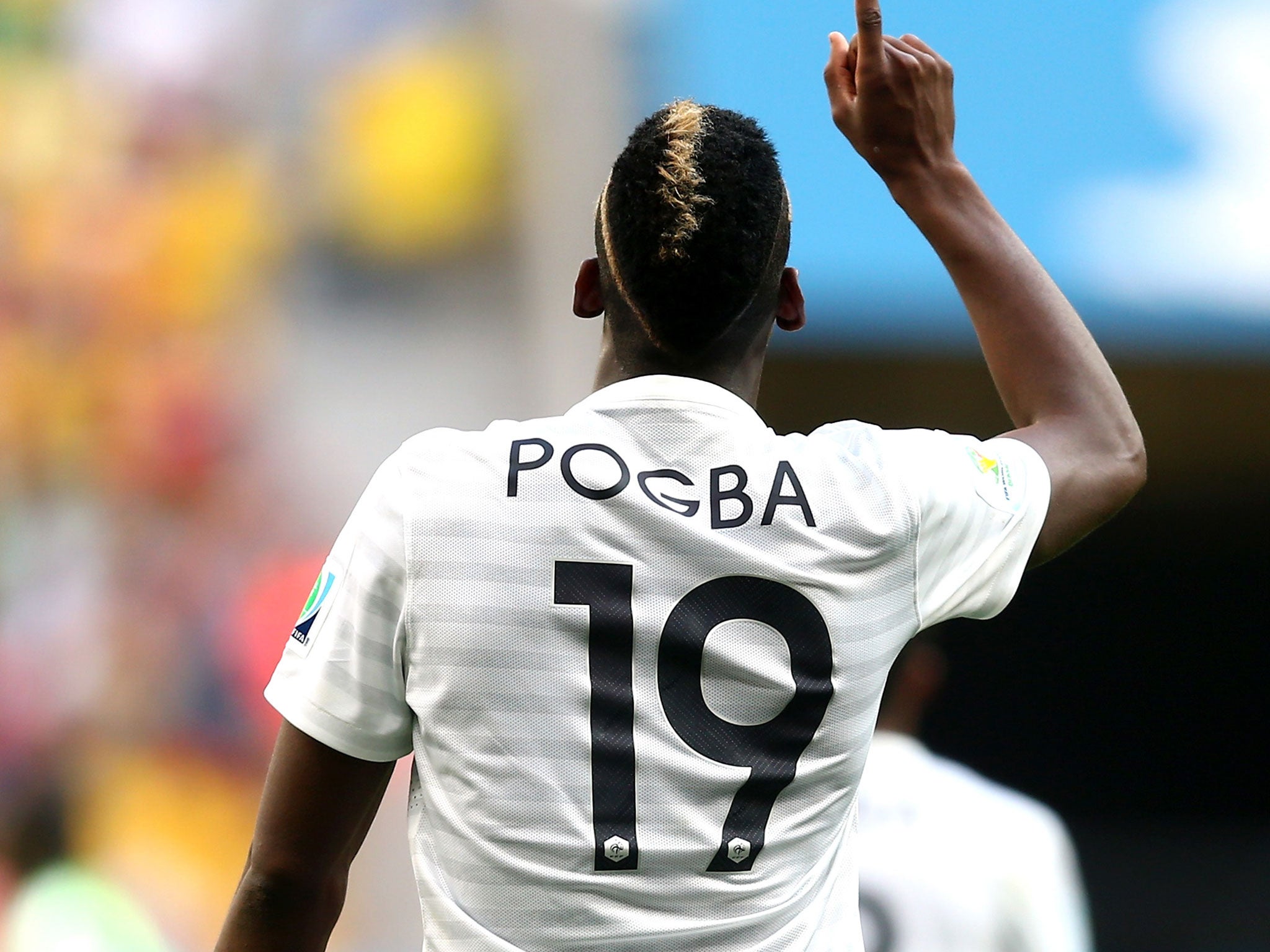 Paul Pogba celebrates his goal for France