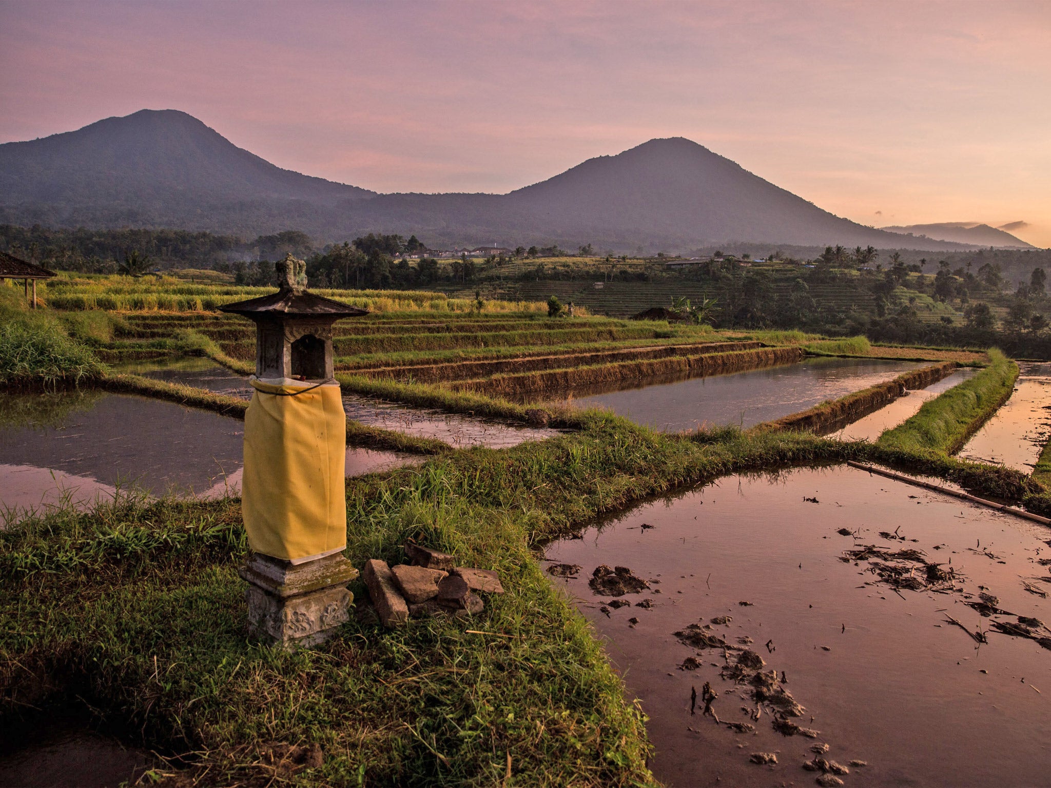 Rice fields in Tabanan, Bali, Indonesia. El Nino looms on the horizon which could lead into drought and lack of rainfall for the region