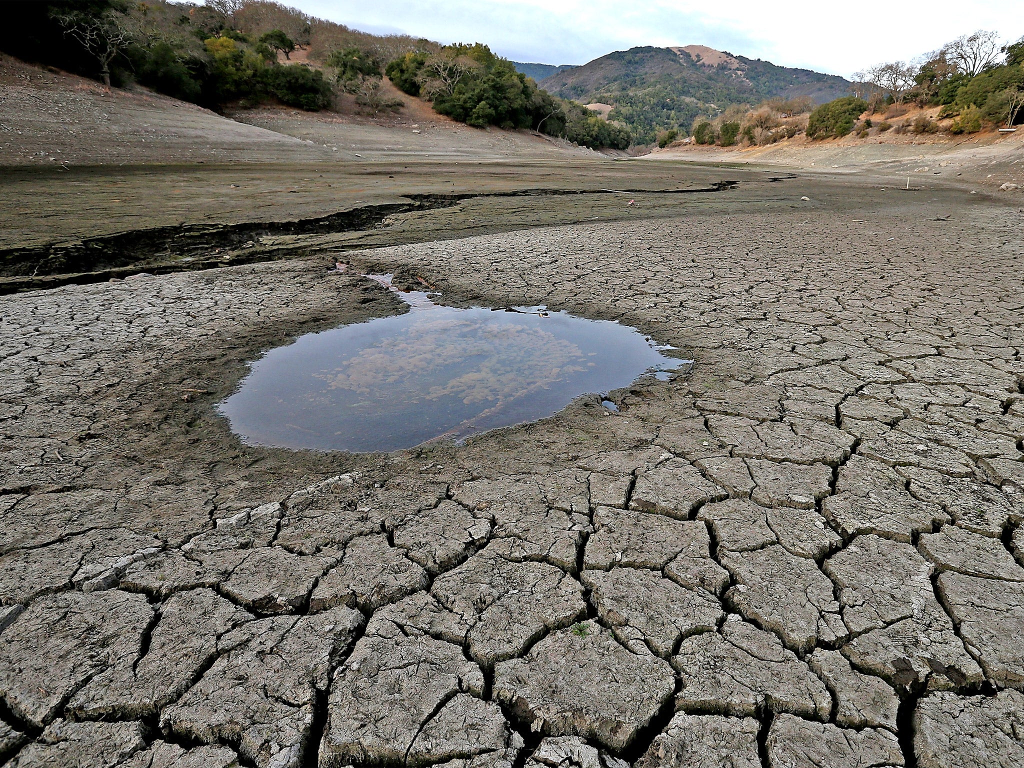 A small pool of water is surrounded by dried and cracked earth that was the bottom of the Almaden Reservoir in San Jose, California (Getty)