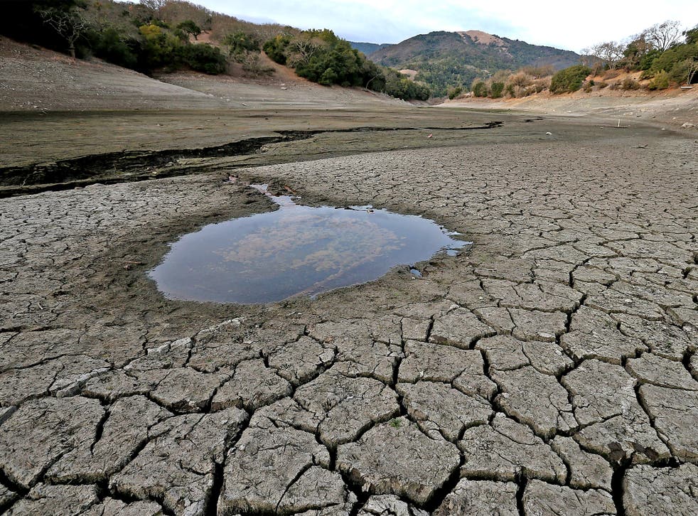 California is experiencing one of its worst droughts since records began. Here, a small pool of water is surrounded by dried and cracked earth that was the bottom of the Almaden Reservoir in San Jose, California.
