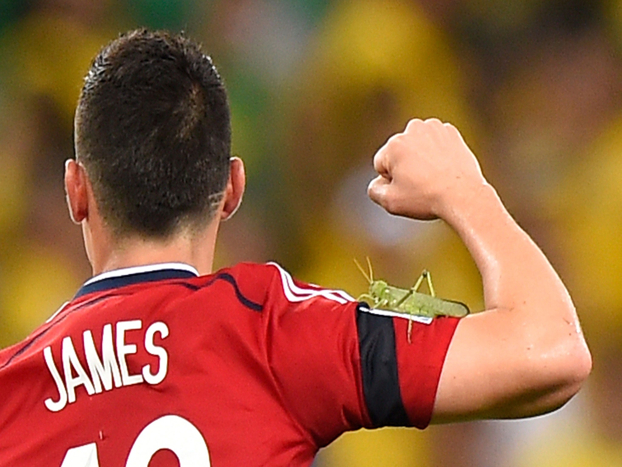 james rodriguez insect