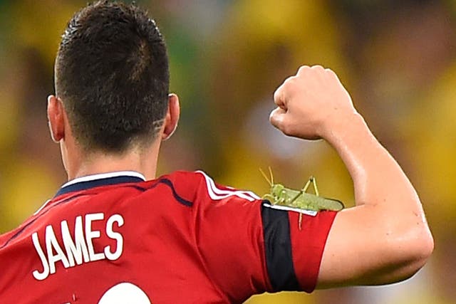 Colombia star James Rodriguez celebrates but remains completely unaware that a grasshopper is on his arm