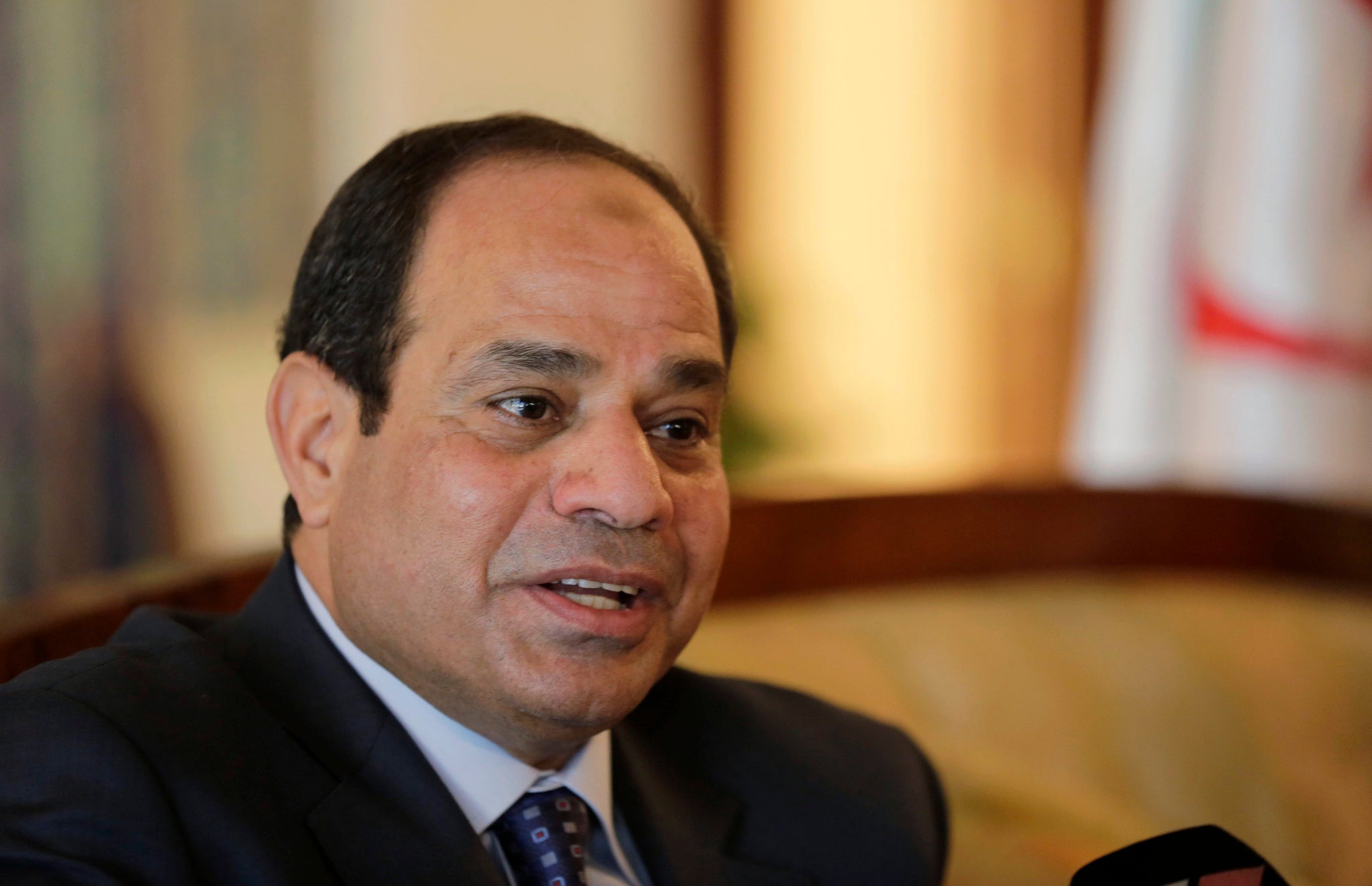 Egypt's new president al-Sisi said he wished the journalists had never stood trial