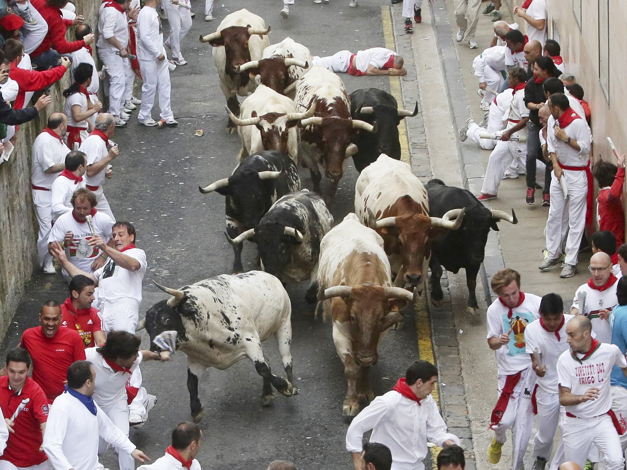 Bulls run after the 'mozos' or runners during the first bullrun of the 2014 Sanfermines in Pamplona