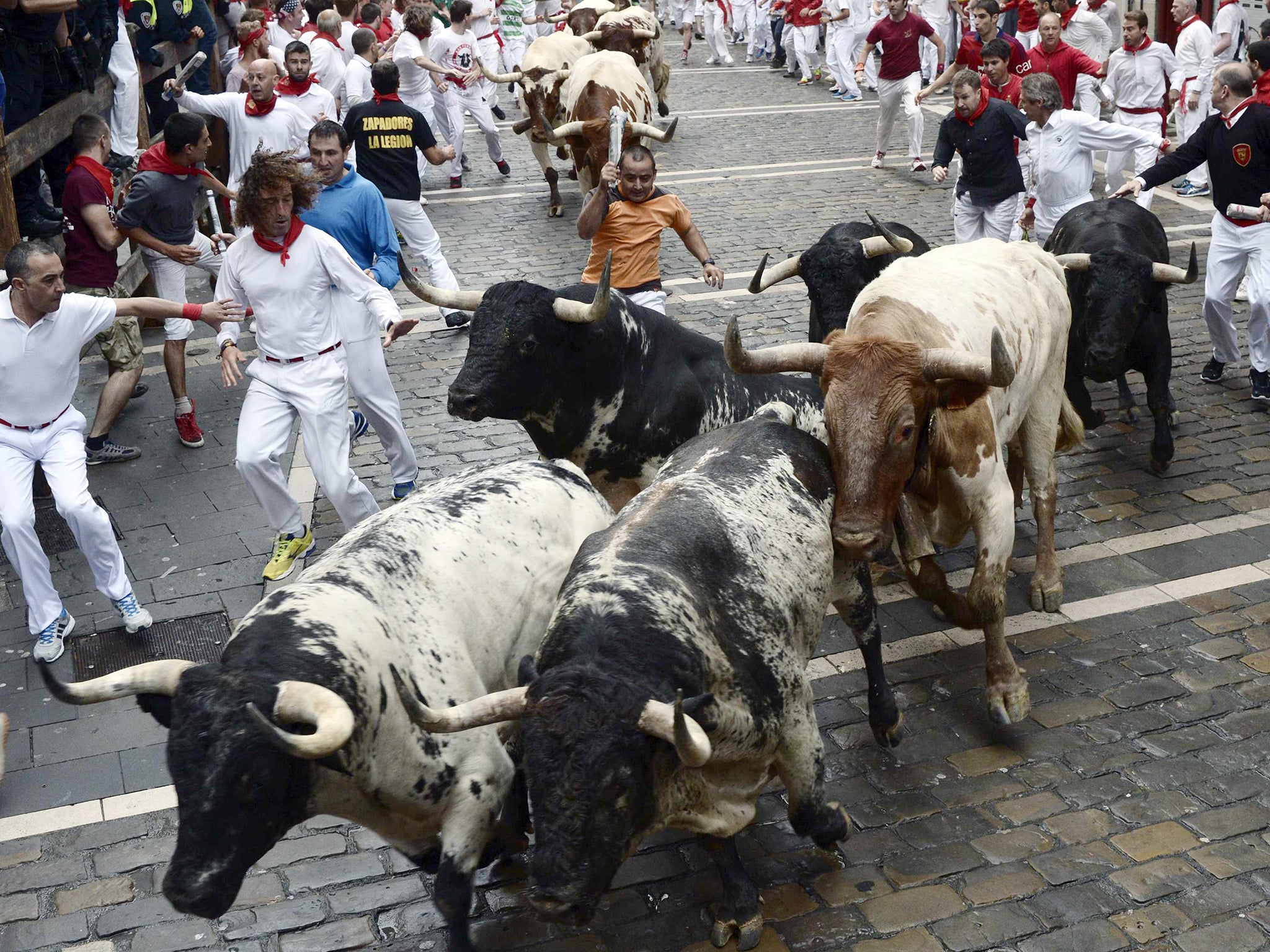 Runners sprint alongside Torrestrella fighting bulls at the Estafeta corner during the first running of the bulls of the San Fermin festival in Pamplona