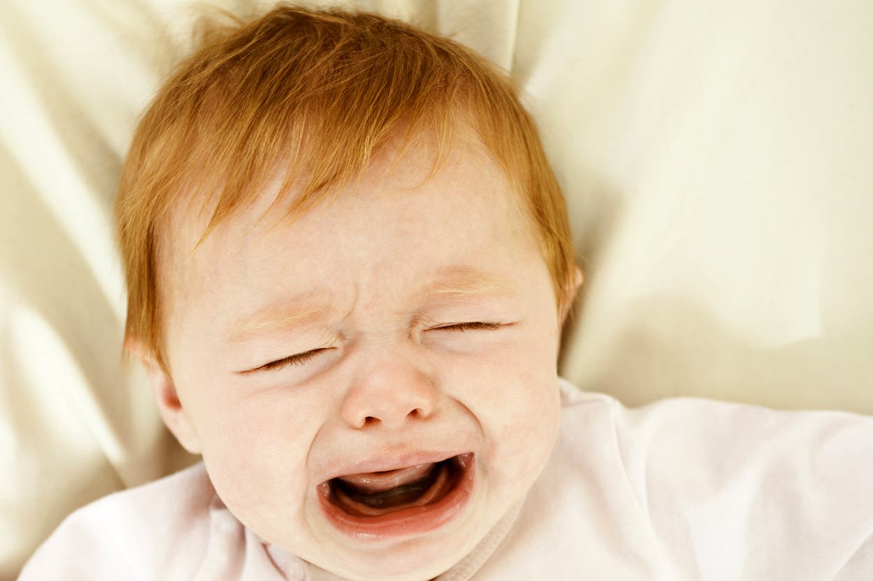 The independent - Celebrity gingers Harry Potter star Rupert Grint Avec ses cheveux roux et ses yeux bleus, l'acteur britannique Rupert Grint est un pur produit du nord.