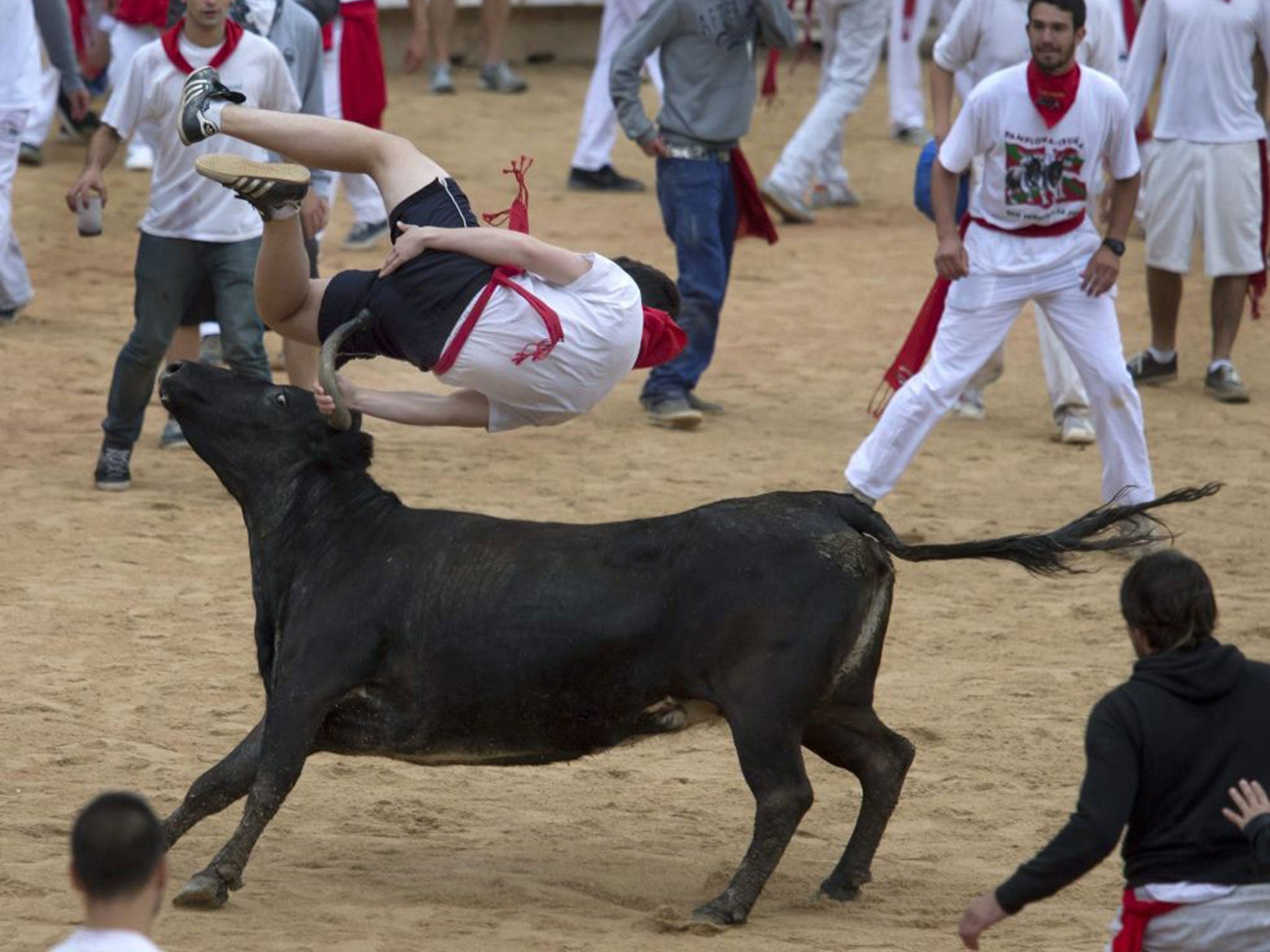 A bull throws a reveler in the bullring during the Fiesta de San Fermin