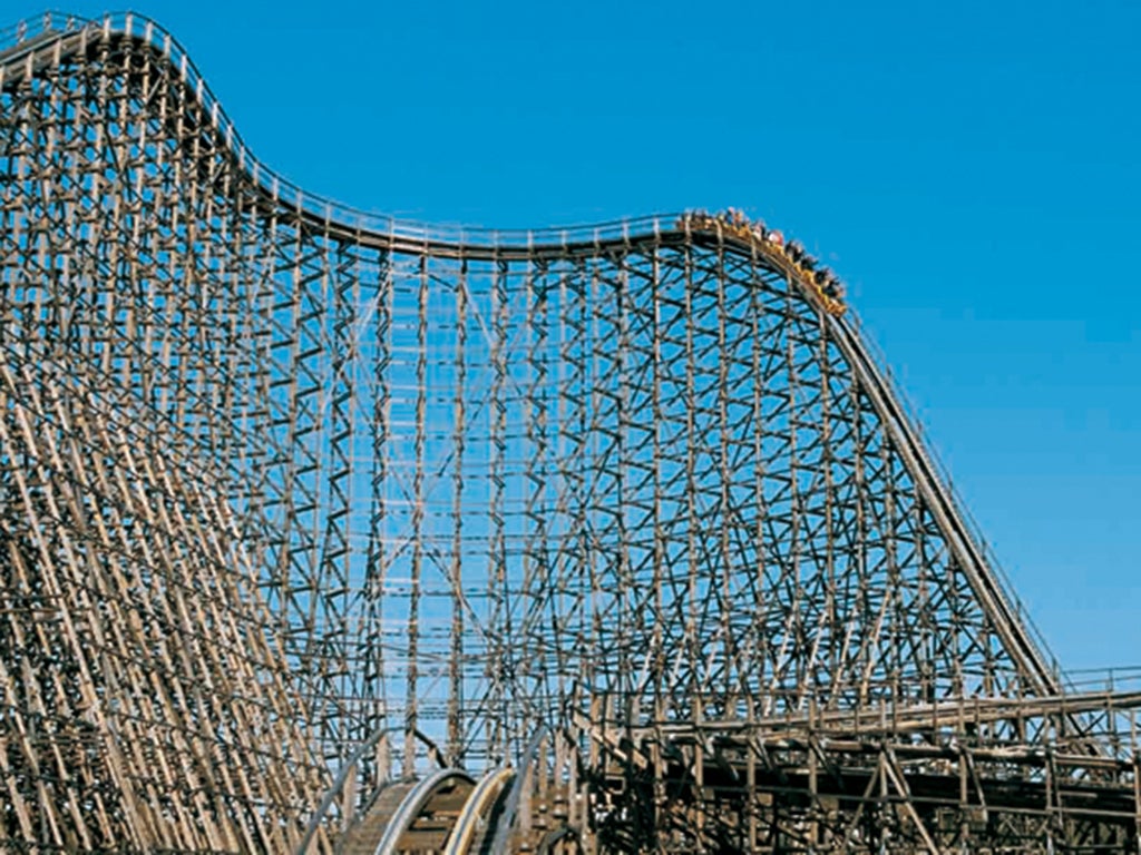 Girl hit in the head by bird while on roller coaster The