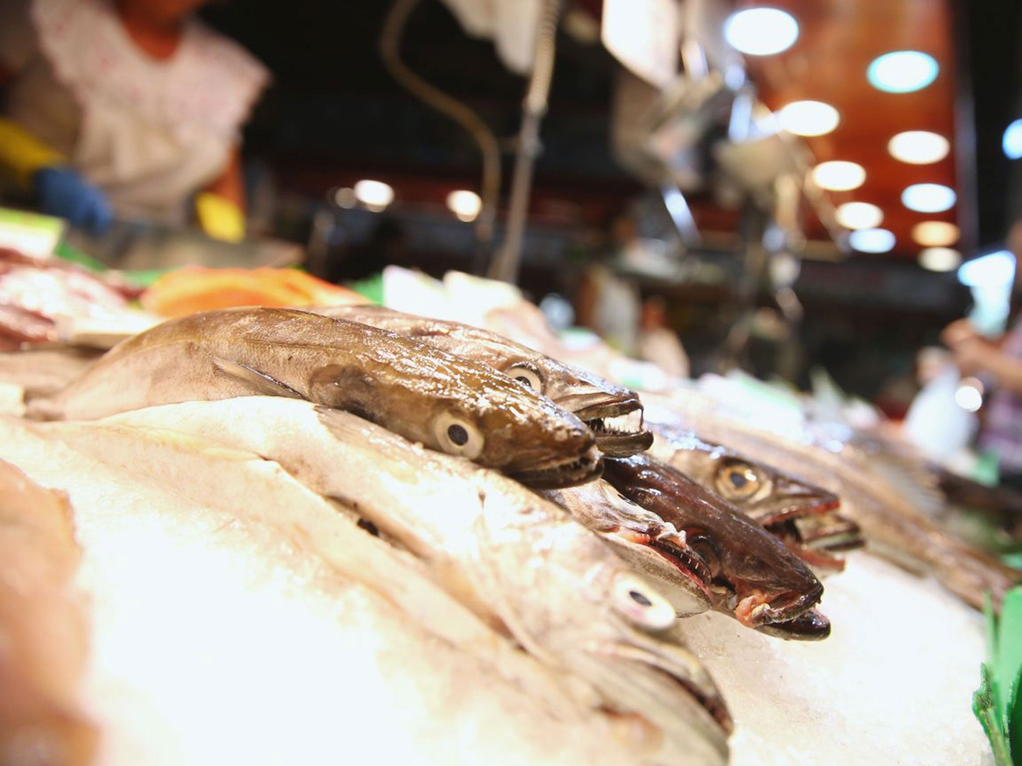 Watery grave: scientists are warning that climate change is changing the chemical make-up of oceans, meaning that the fish in La Boqueria market could become a thing of the past